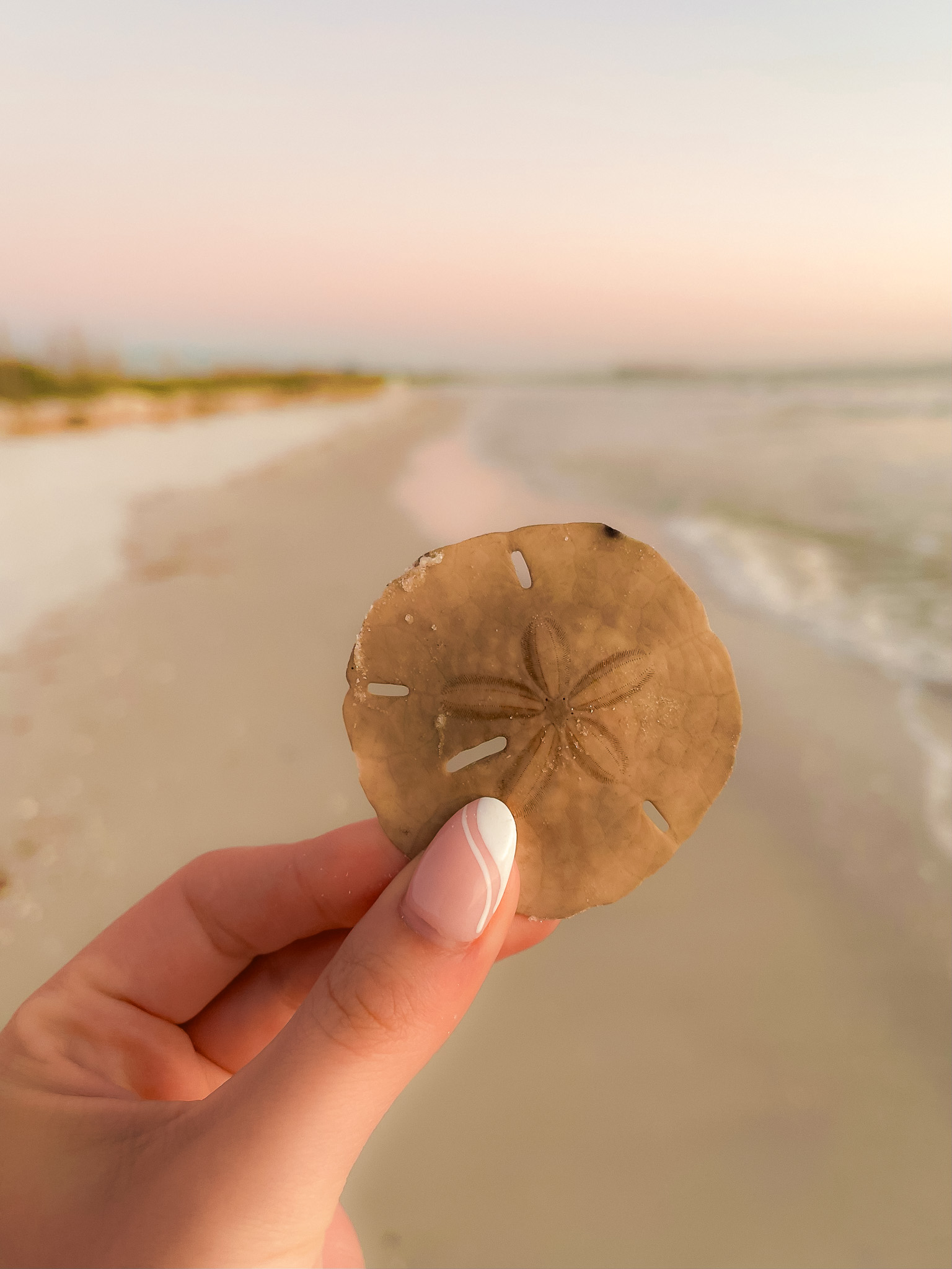 Romantic Beaches Florida