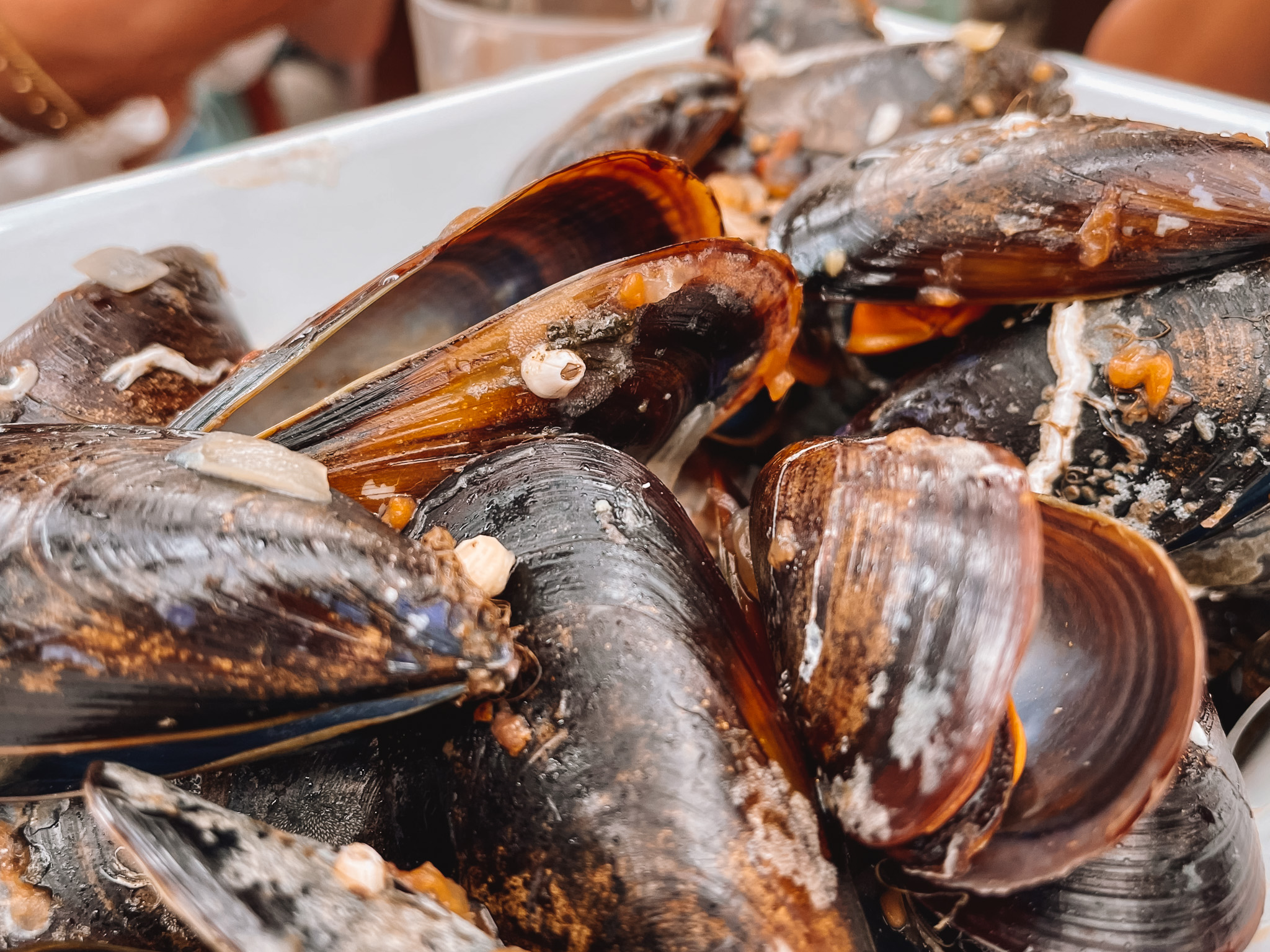 slow-travel-mallorca