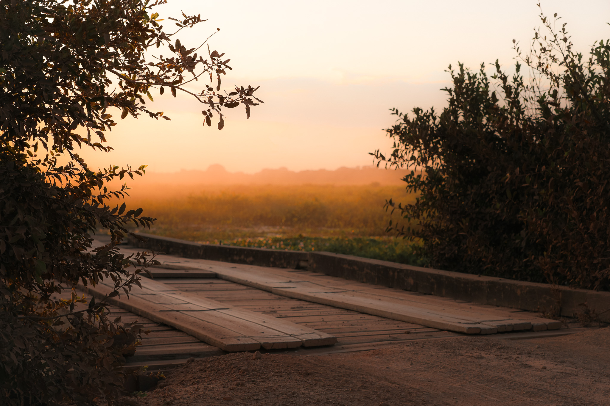 Pantanal Brazil Packing List