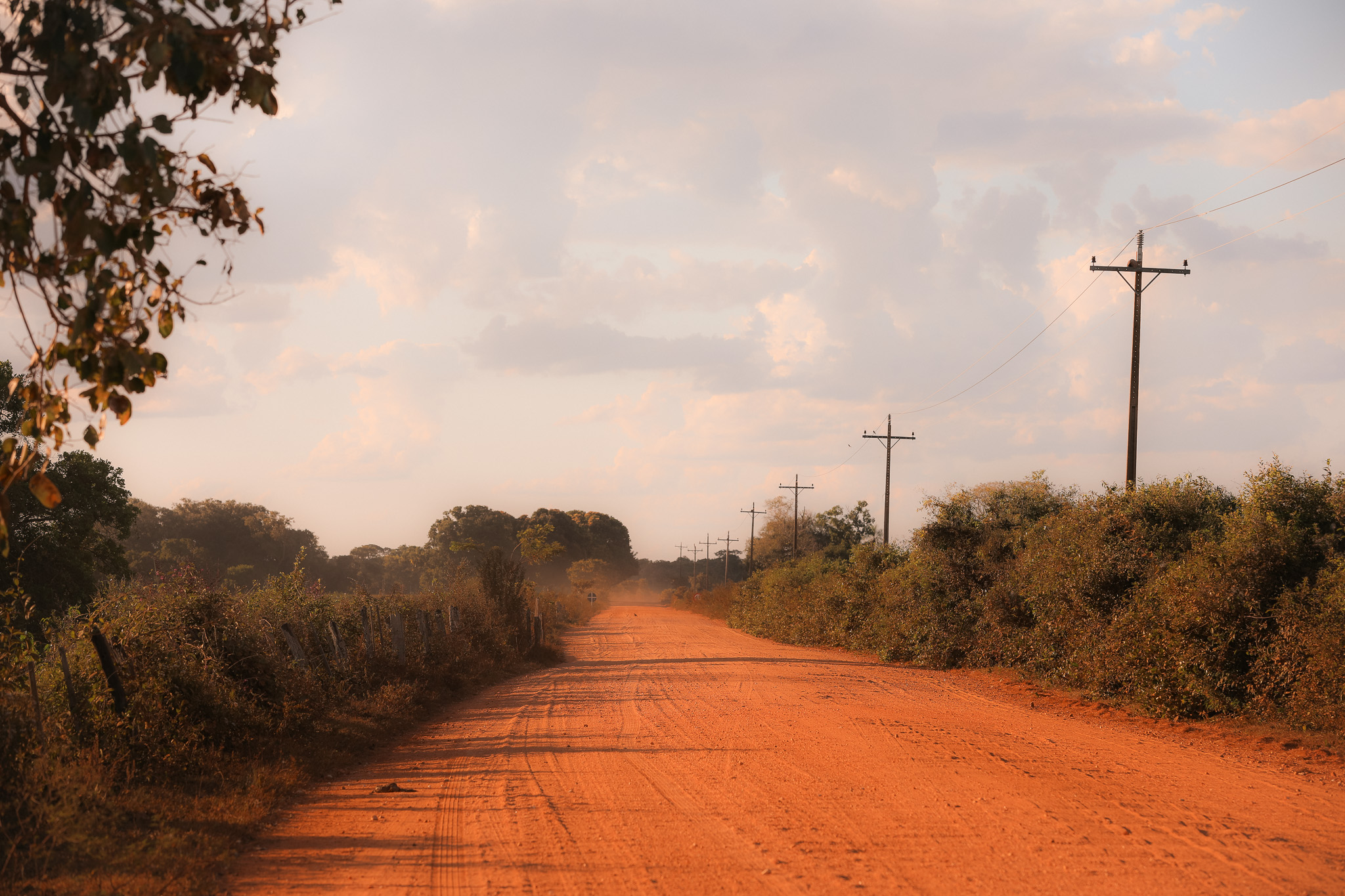 Pantanal Roads Packing List