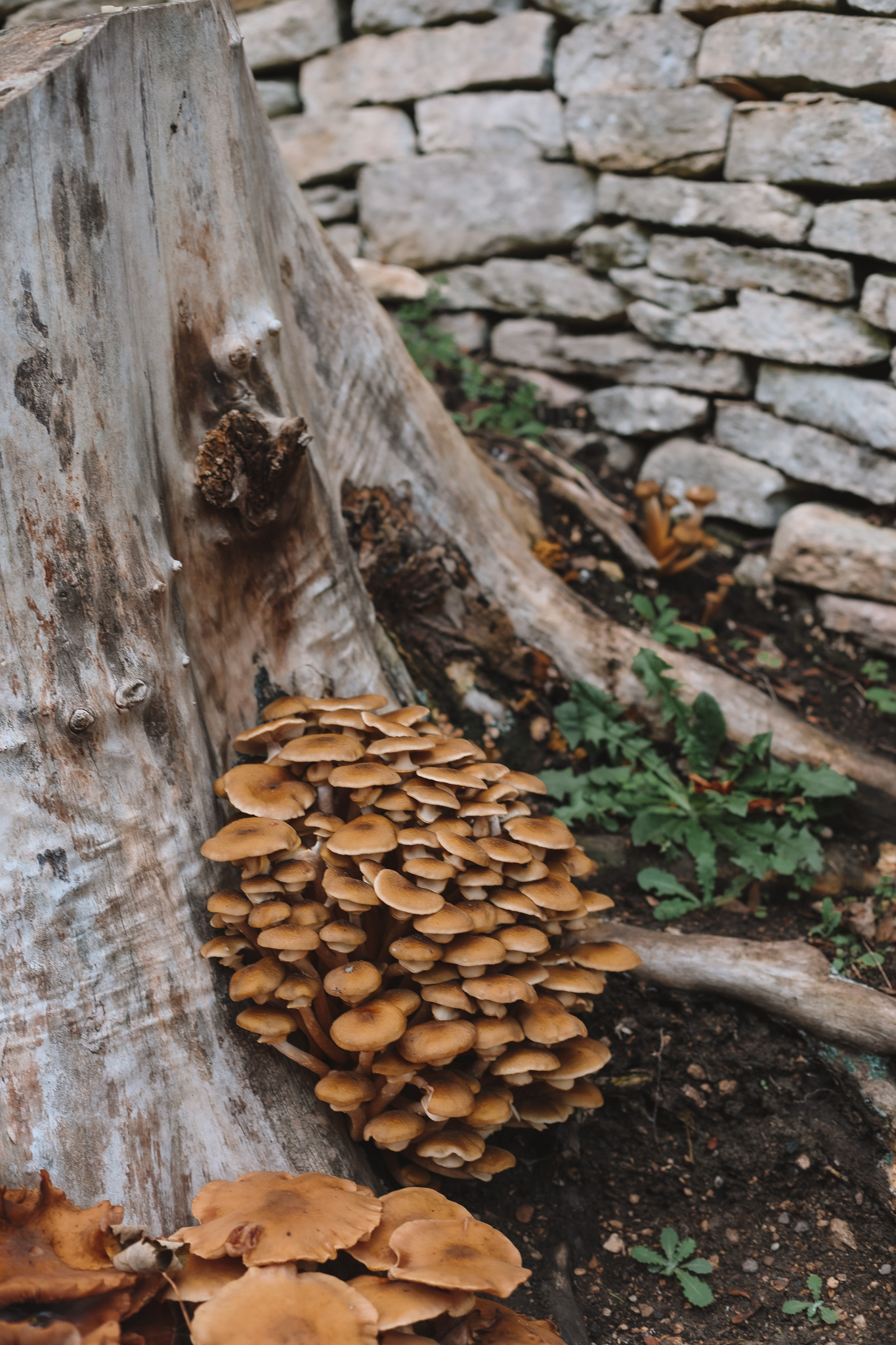 cotswolds-vacation-itinerary