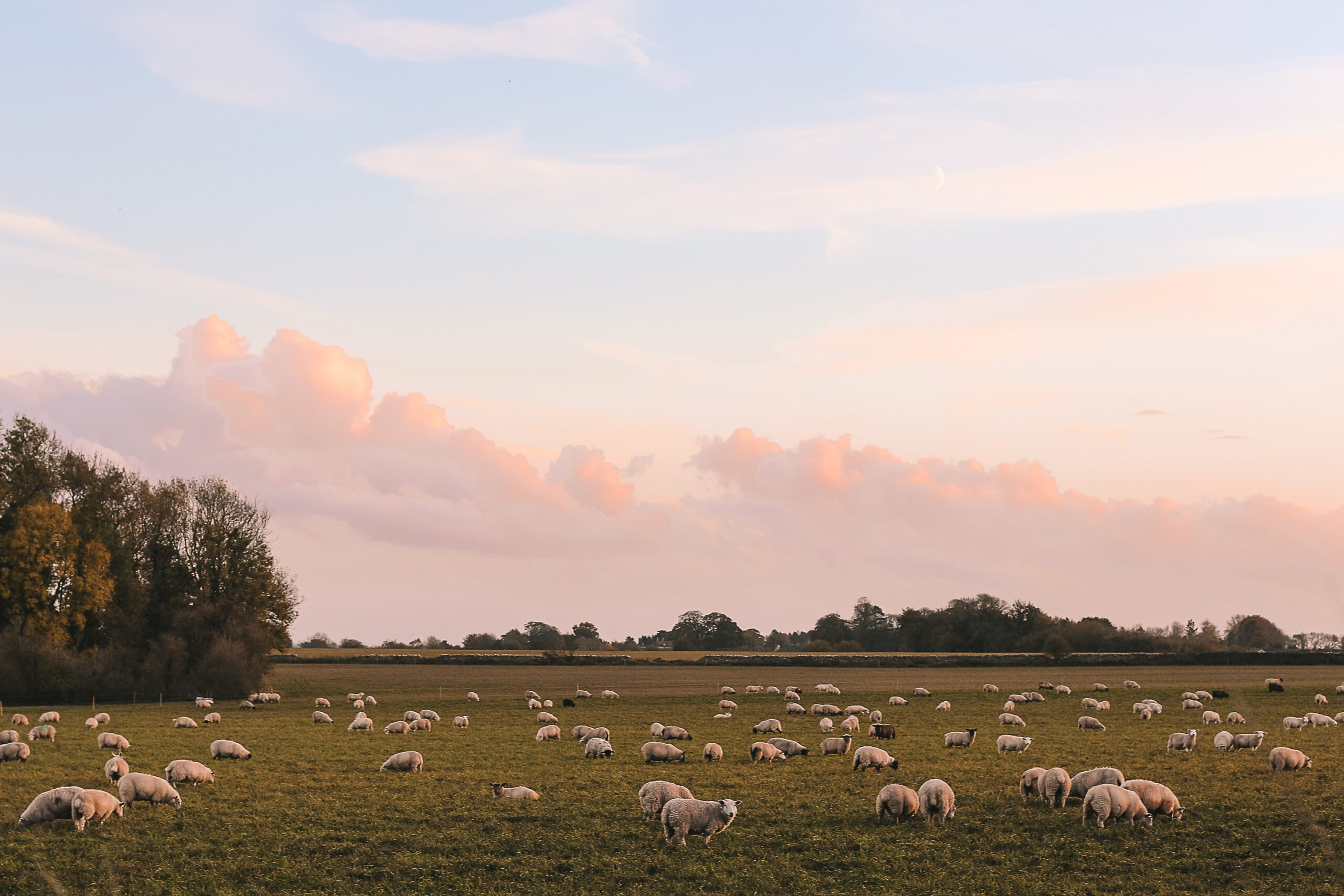 The Real Bonne Vivante Cotswolds