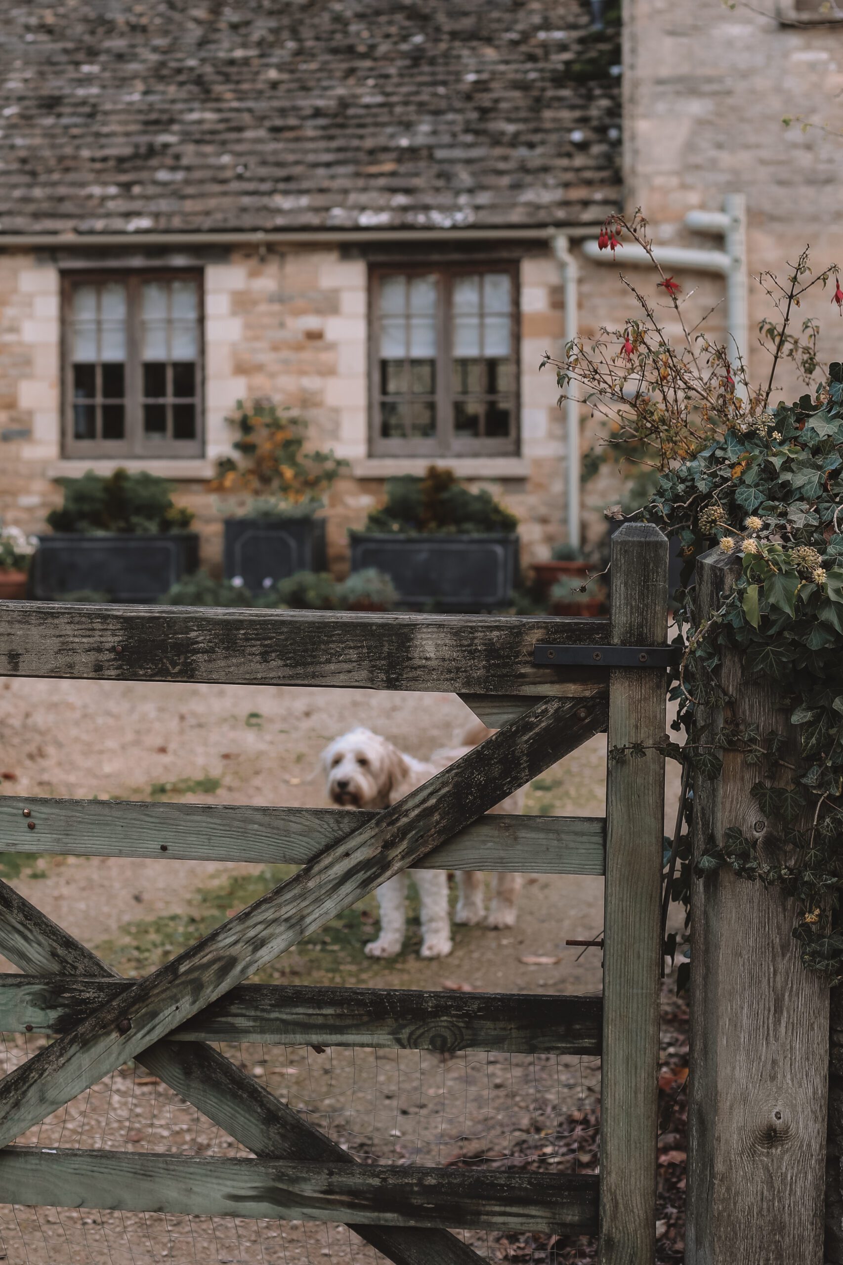 awkward-hill-cottage