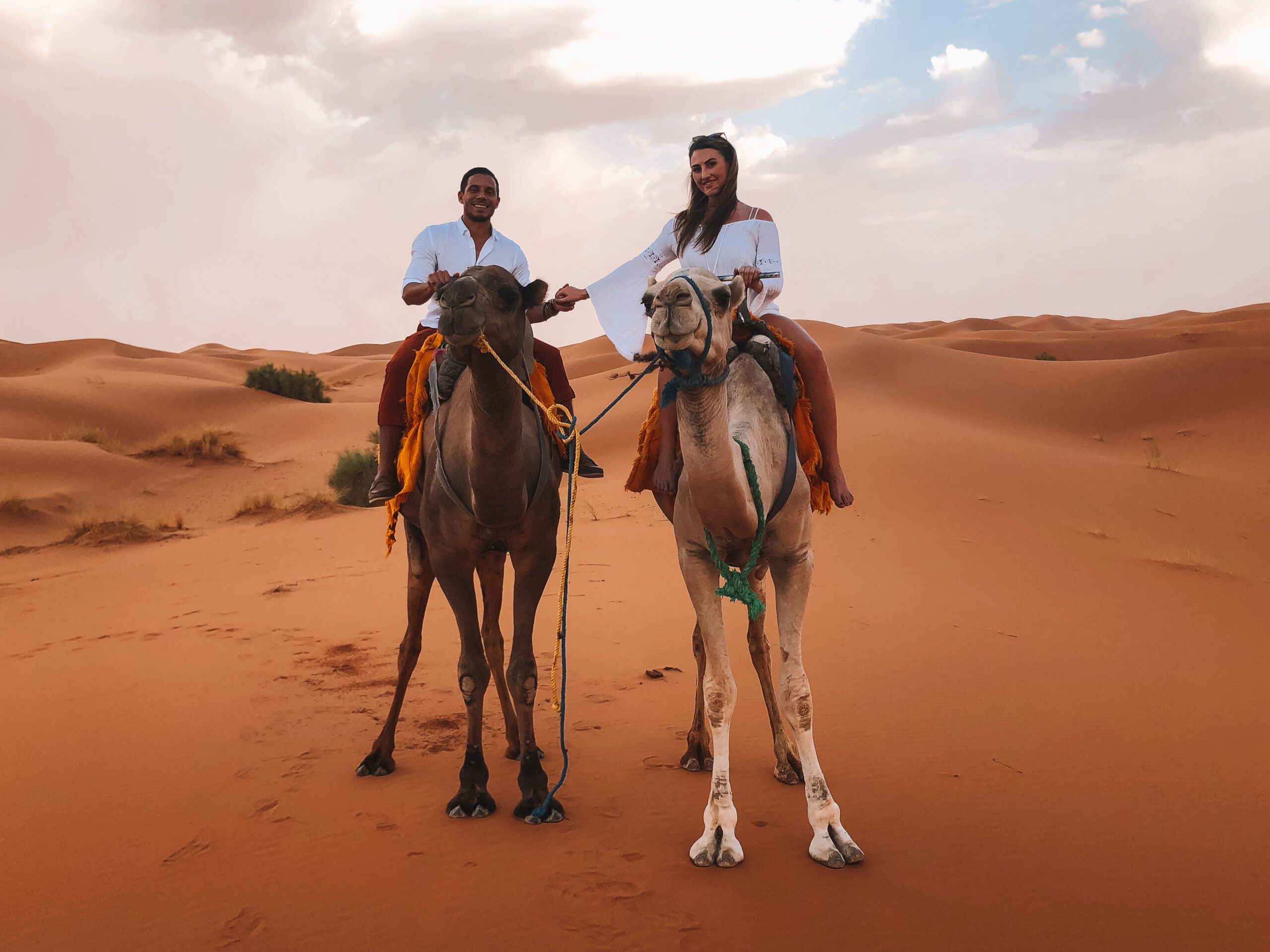 The Real Bonne Vivante Morocco