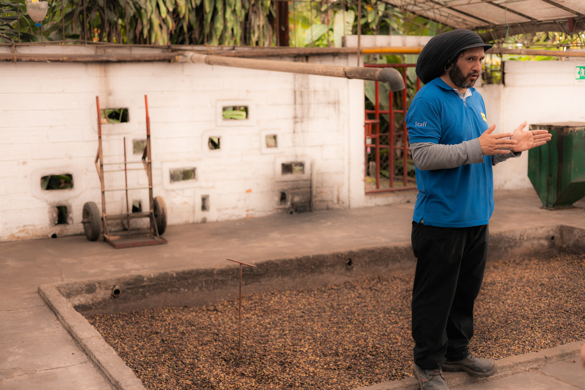 Coffee Tours Near Medellin