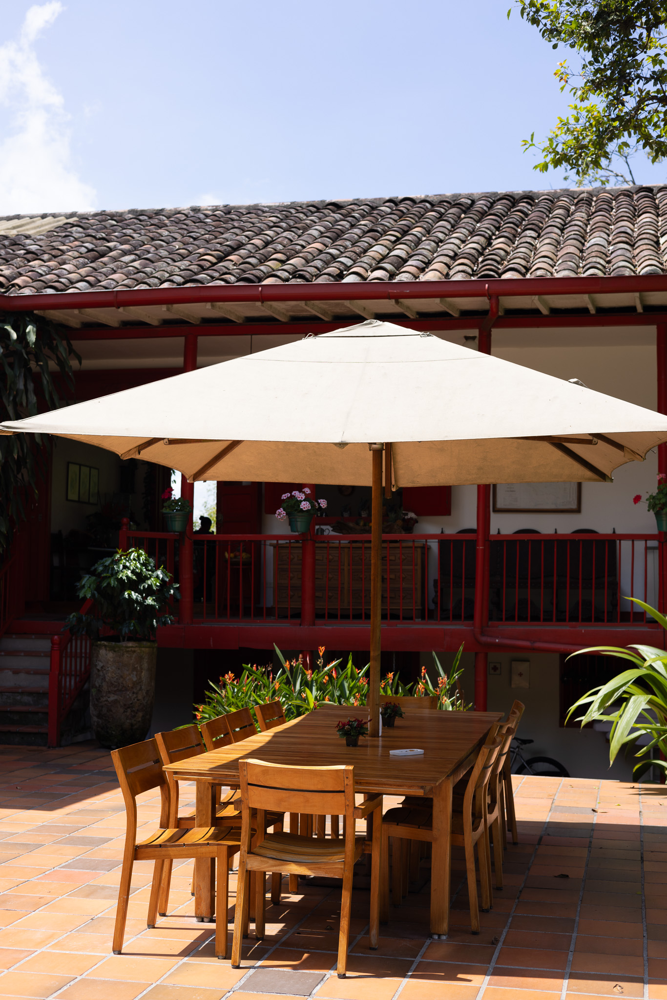 Hacienda Venecia Review Experiences