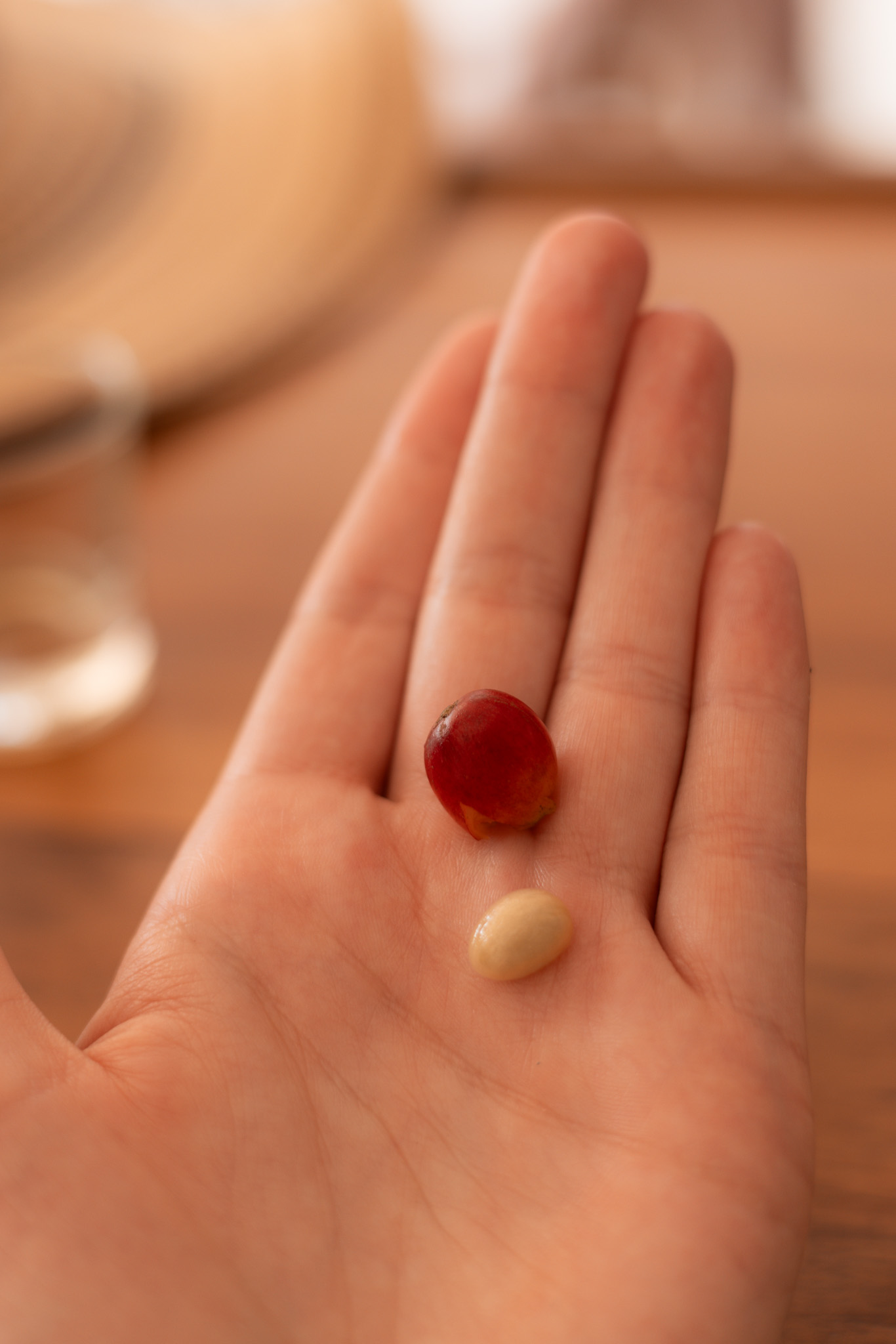 Manizales Coffee Tours