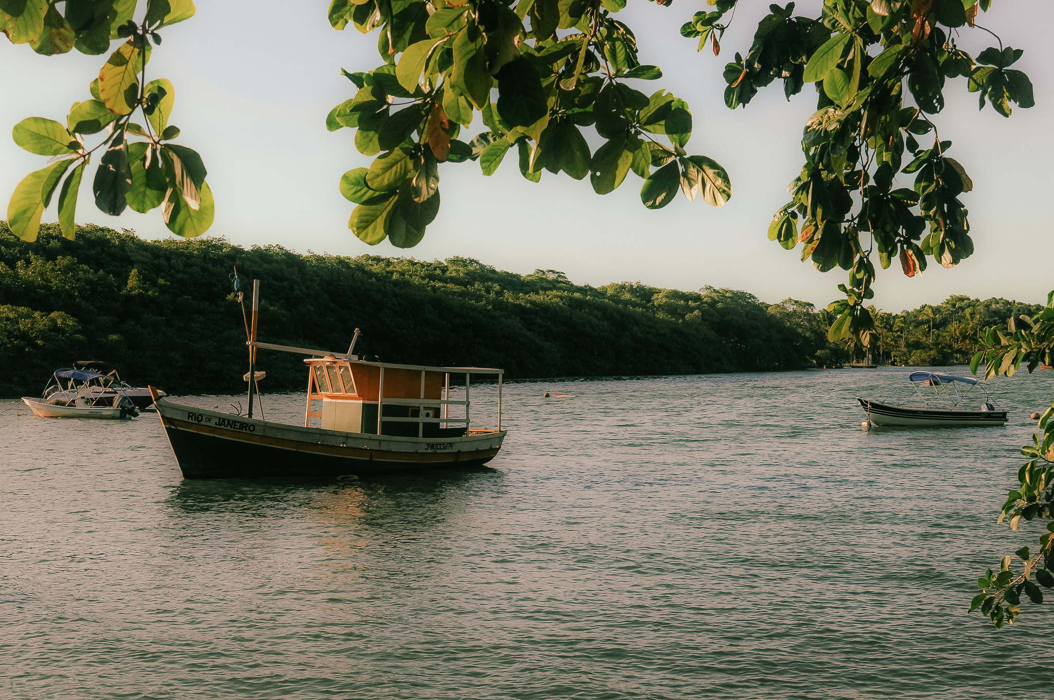 Bahia Brazil