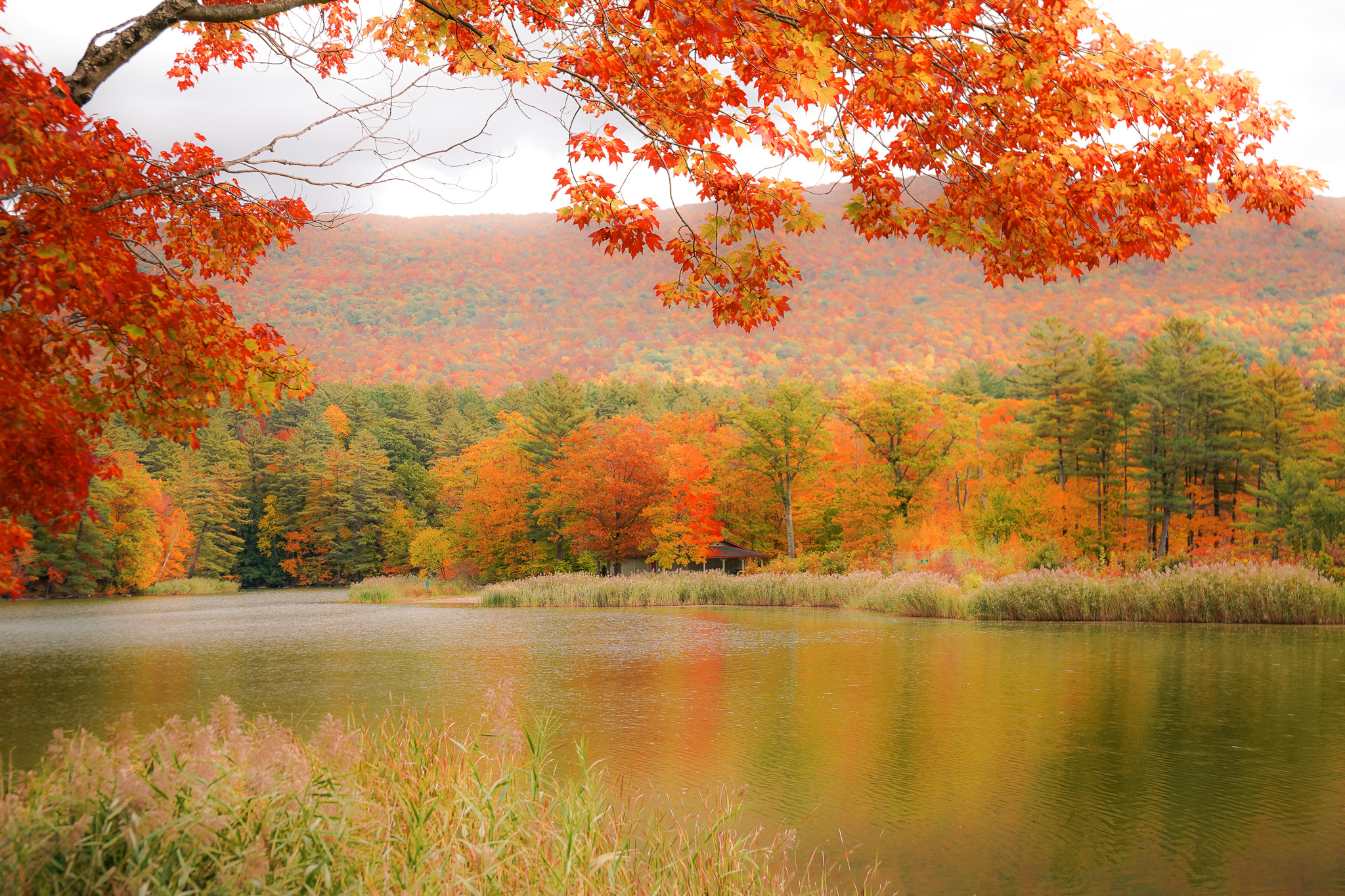 Lake Surrounded By Fall Color In Massachusetts