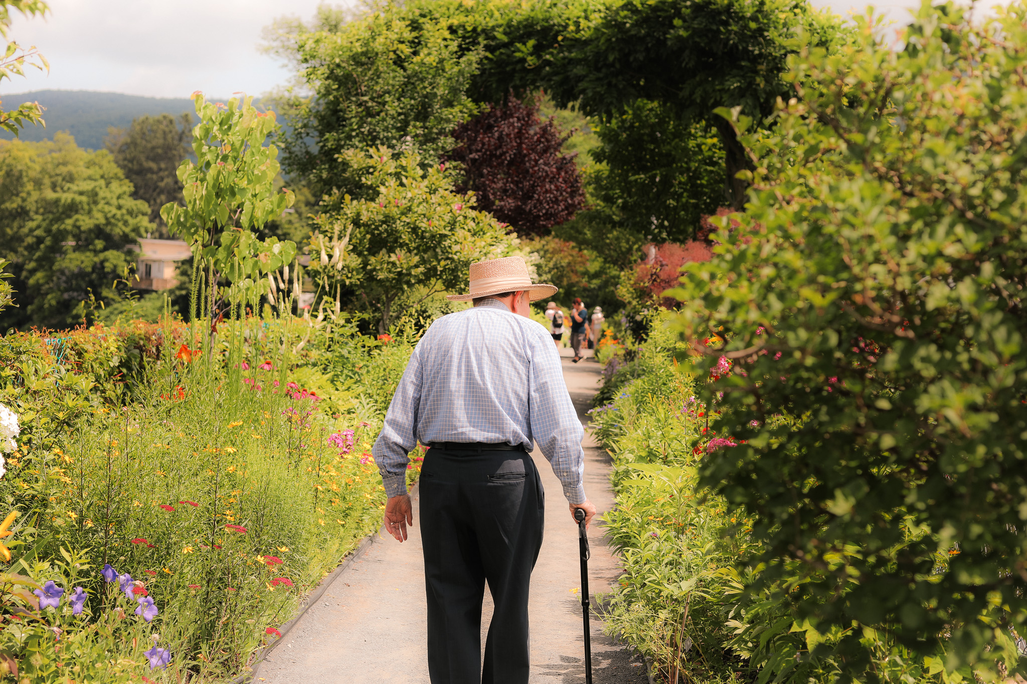 Bridge Of Flowers Berkshires