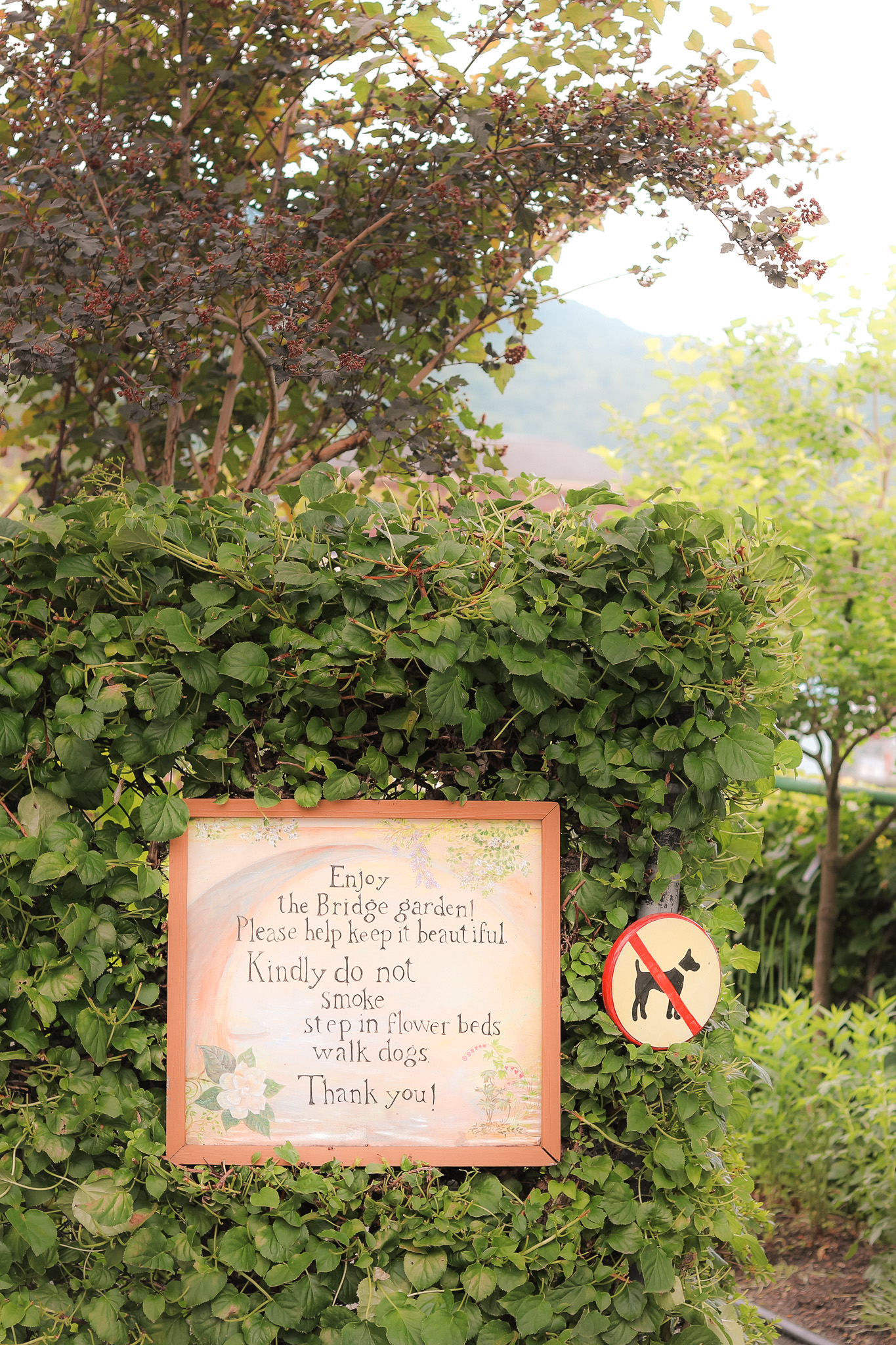 Bridge Of Flowers Mass