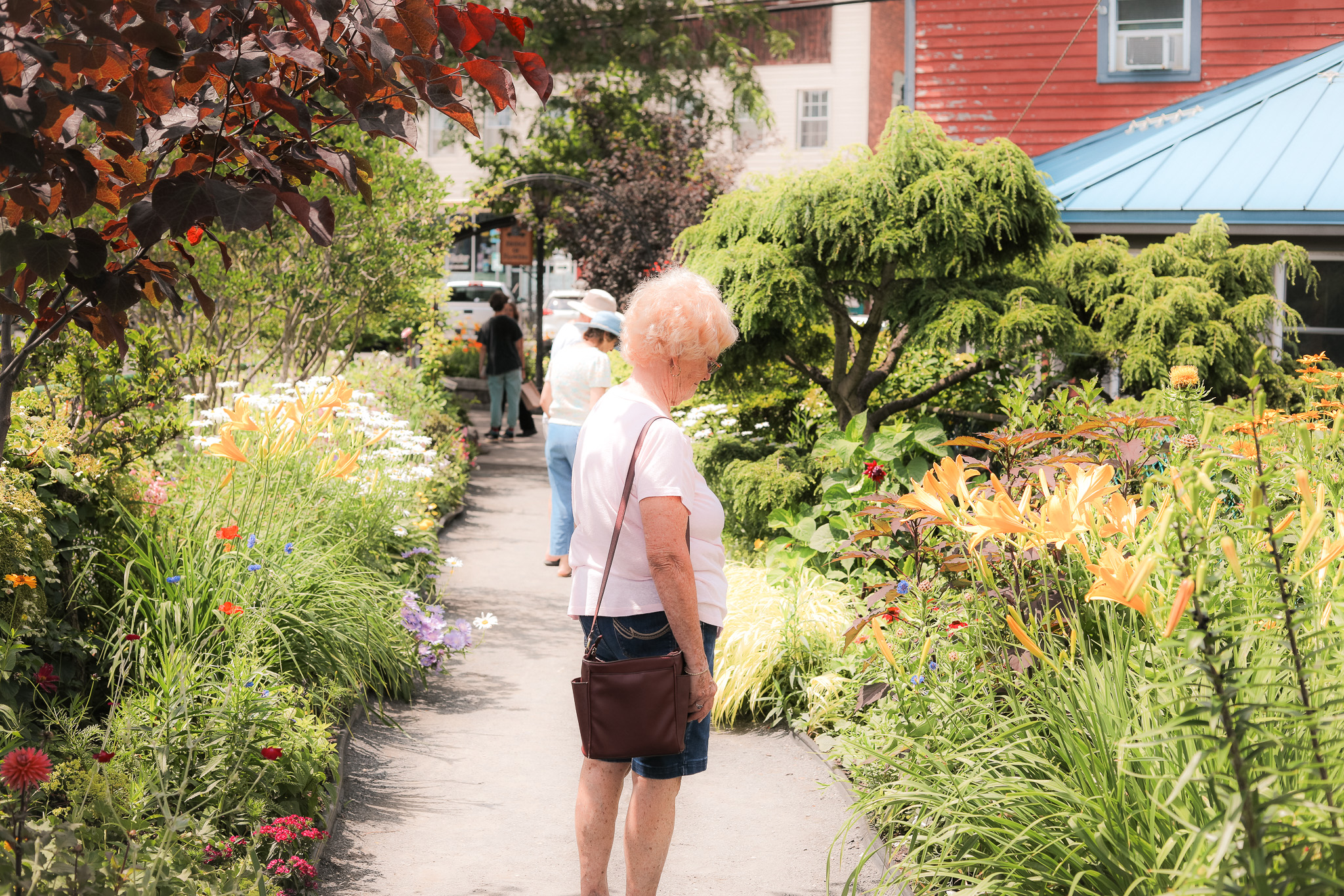 Bridge Of Flowers Shelburne Falls