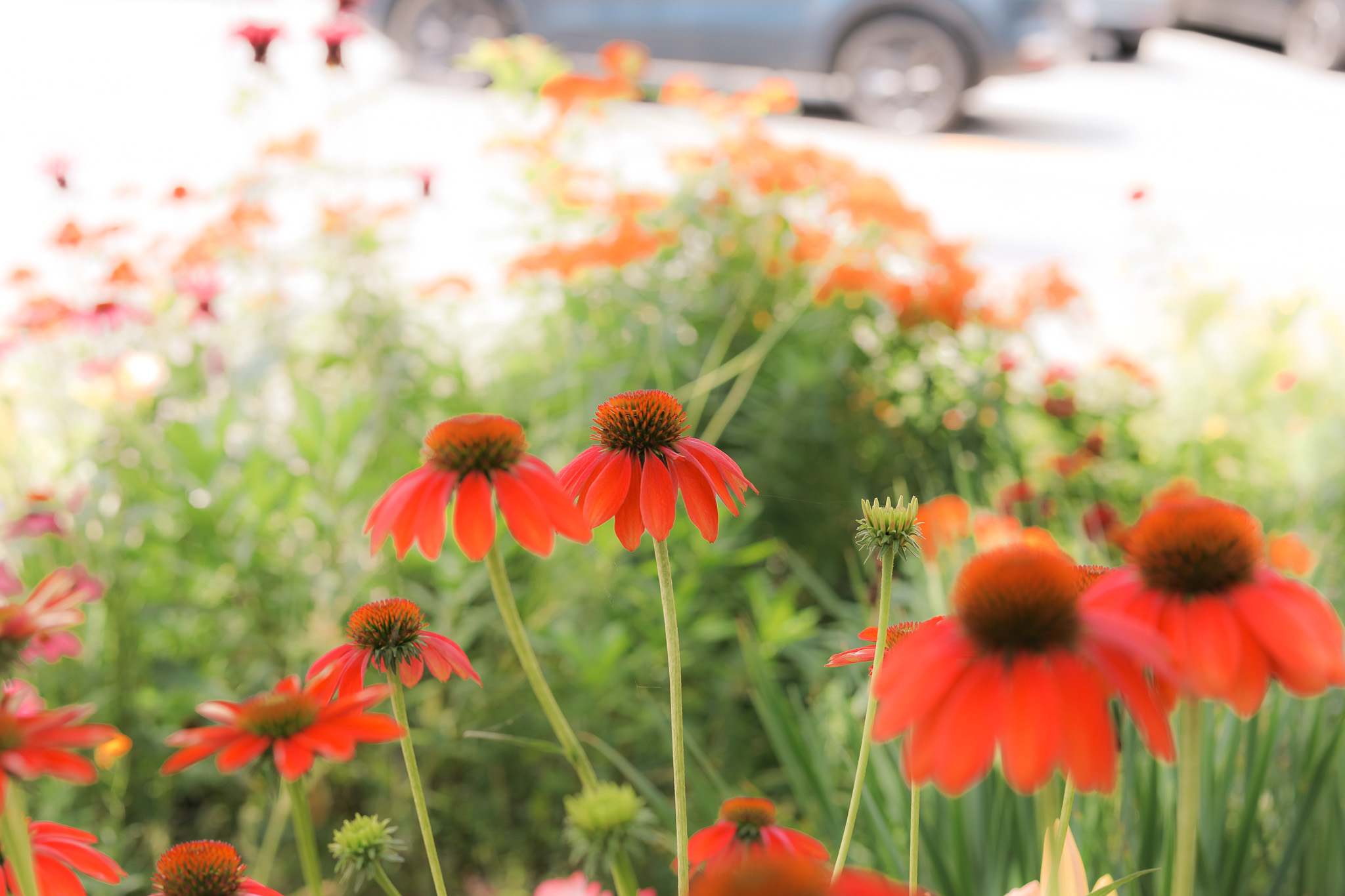 Family Friendly Summer Activities Massachusetts