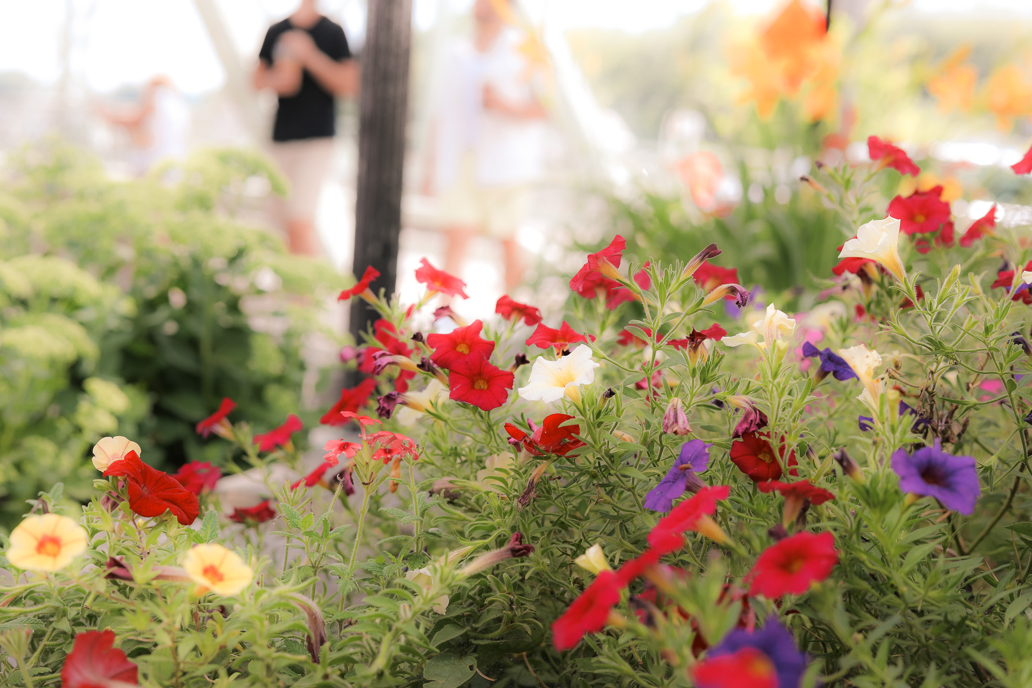 Senior Citizen Things To Do Massachusetts