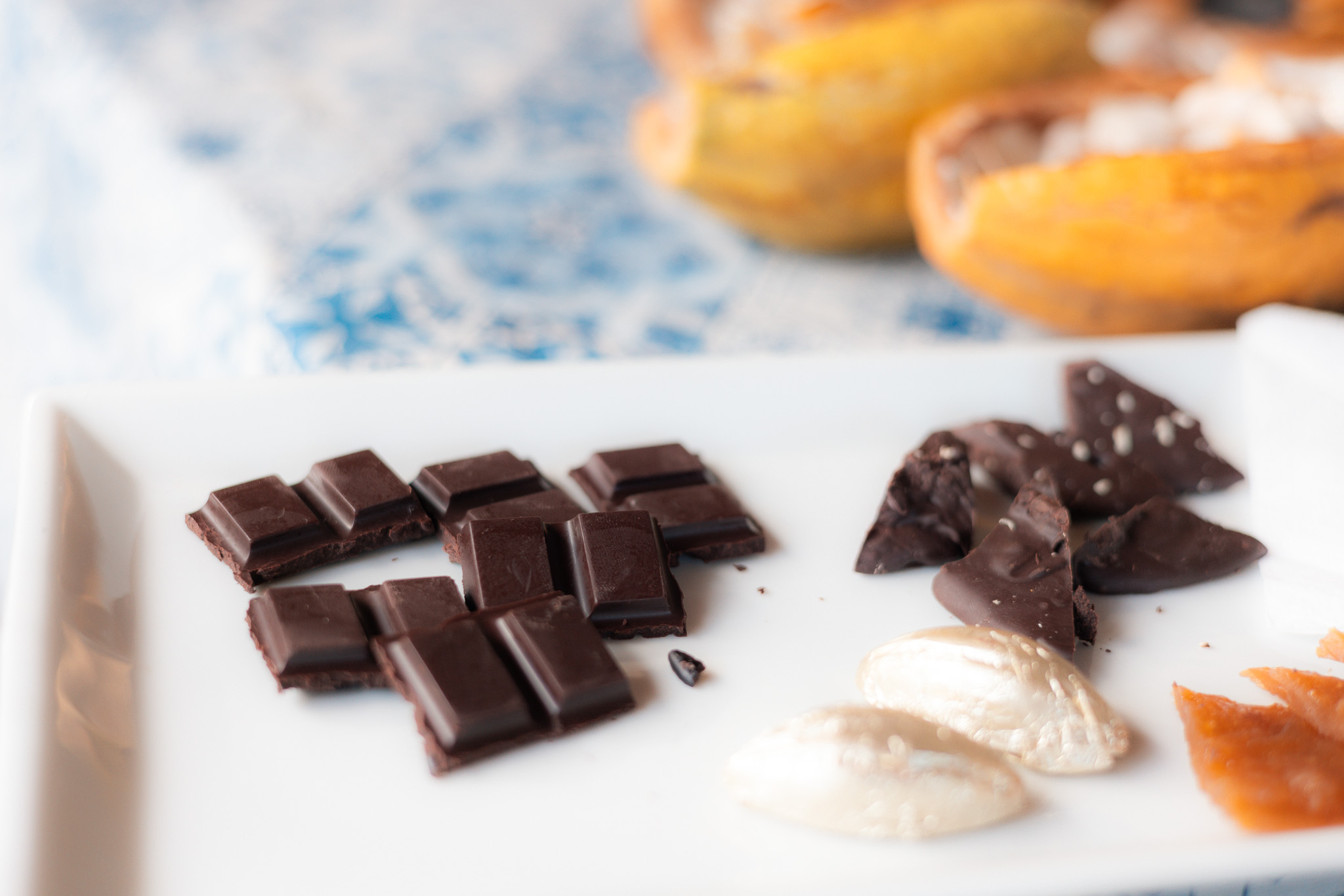 Artisanal Cocoa Barracuda Hotel Tour