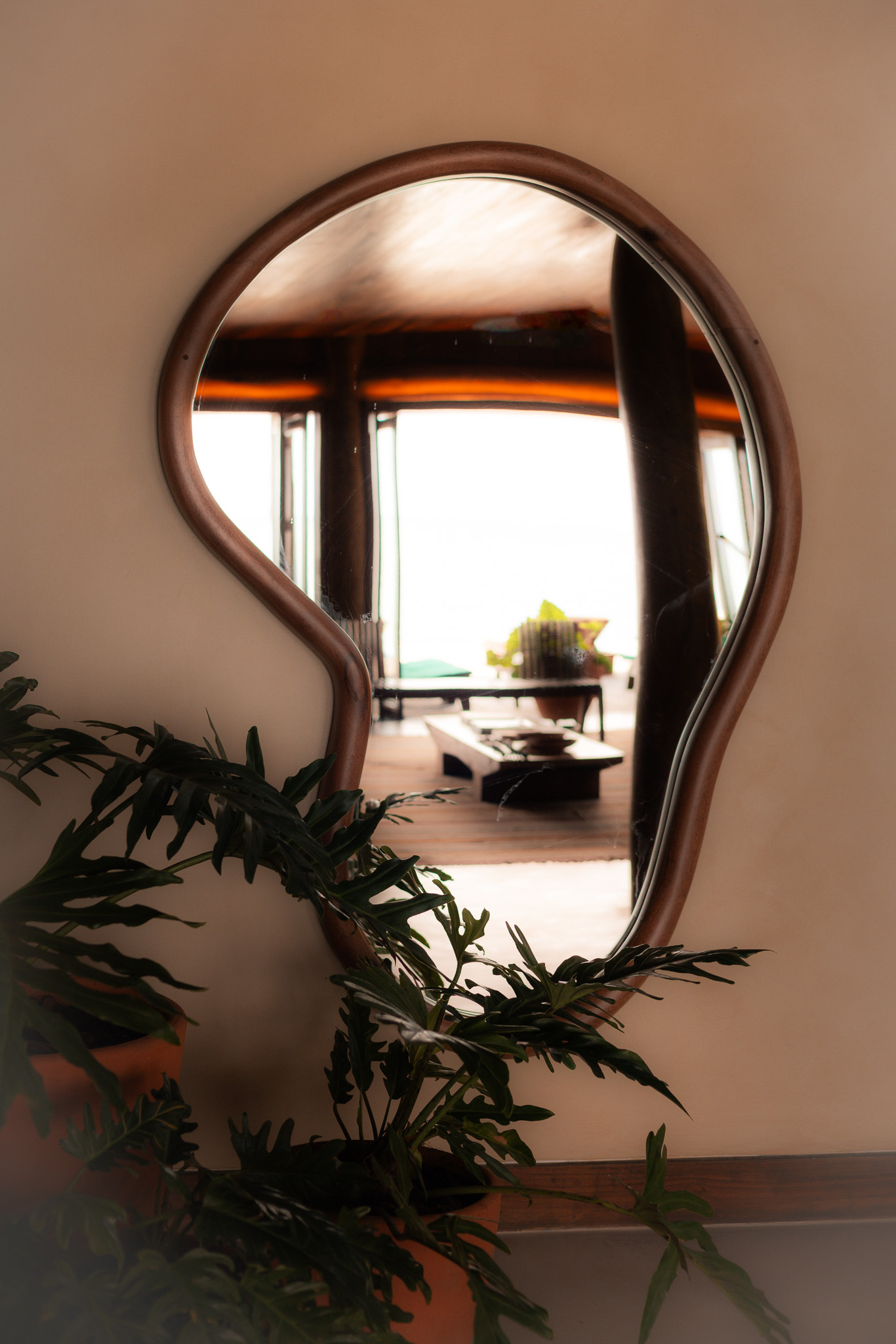 Brazilian Modernism Details