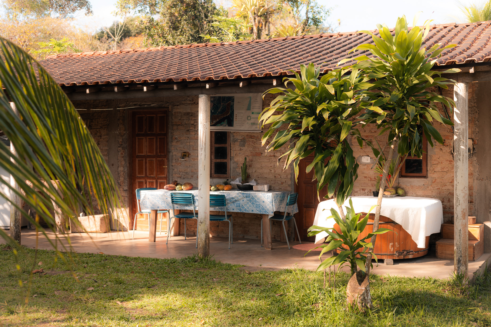 Cocoa Farm Tours Near Itacare