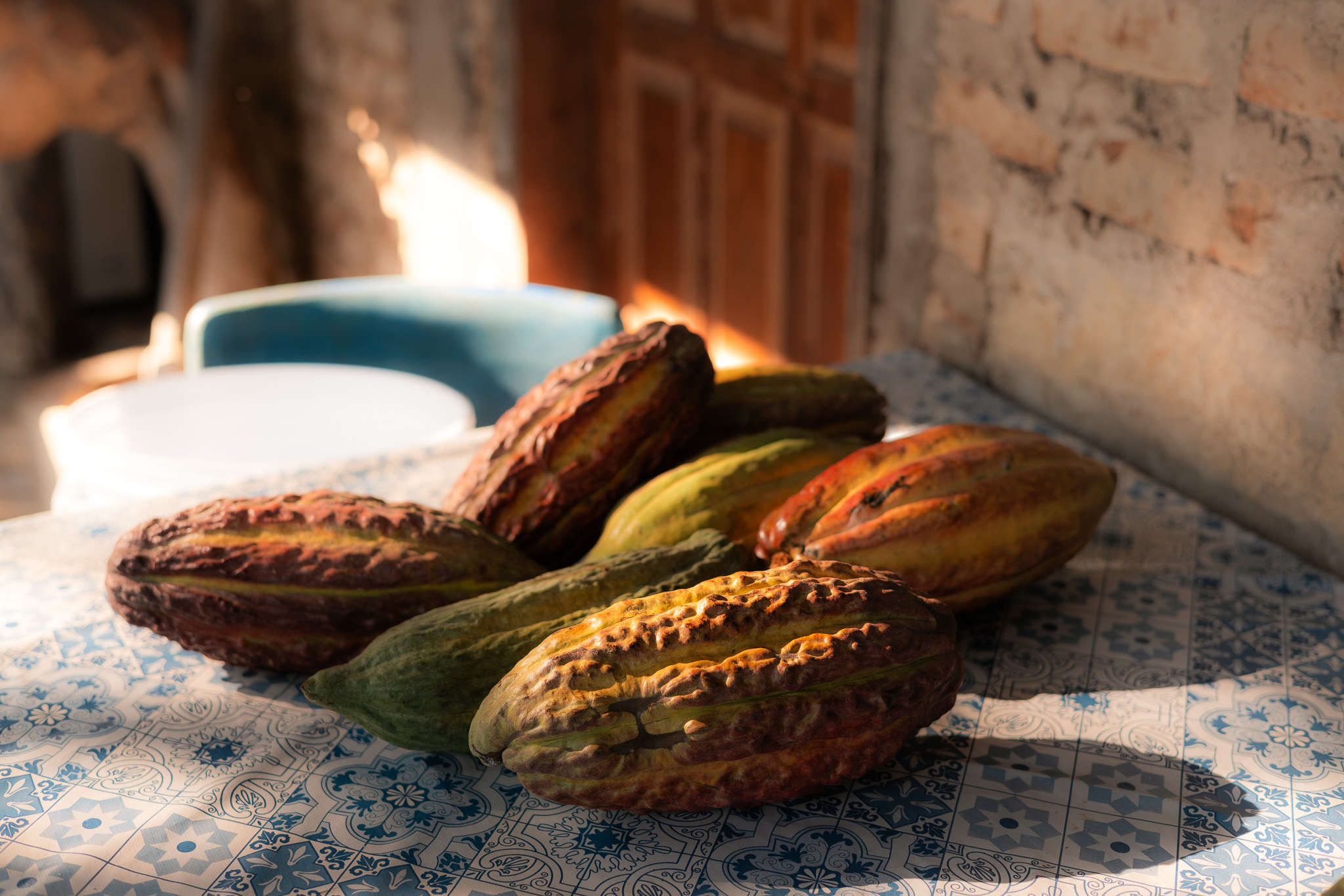 Cocoa Pods Tour Barracuda Hotels