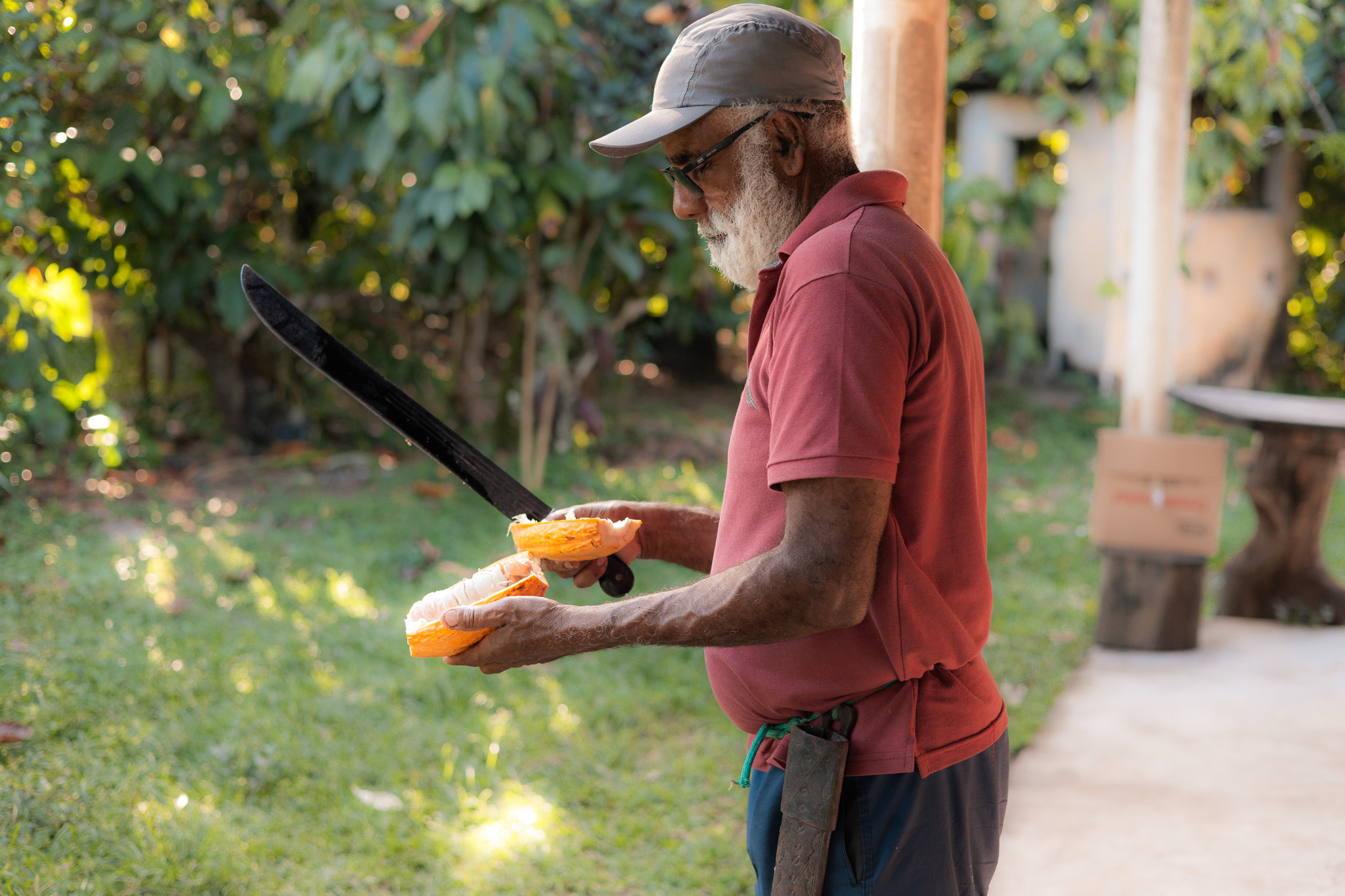 Ingredient Sourcing Cocoa Farm Tour