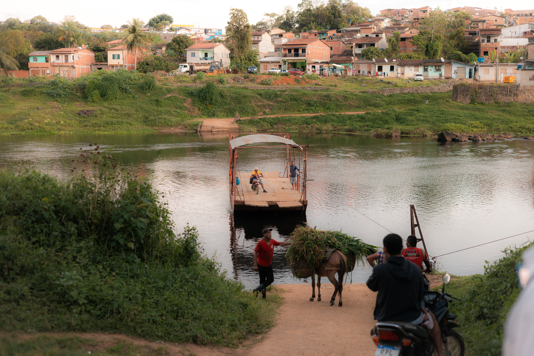 Local Community Cocoa Farmers Bahia