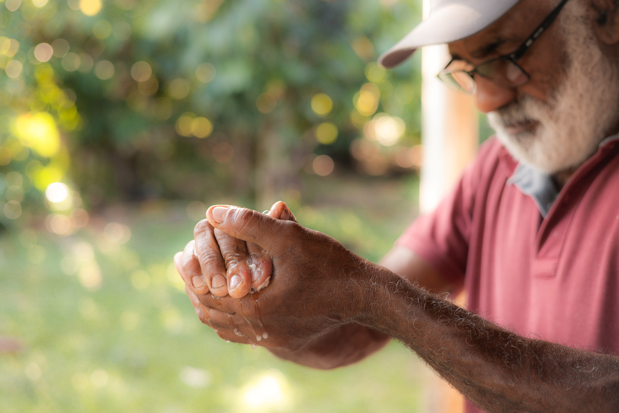 Mr Osvaldo And Cocoa Harvesters
