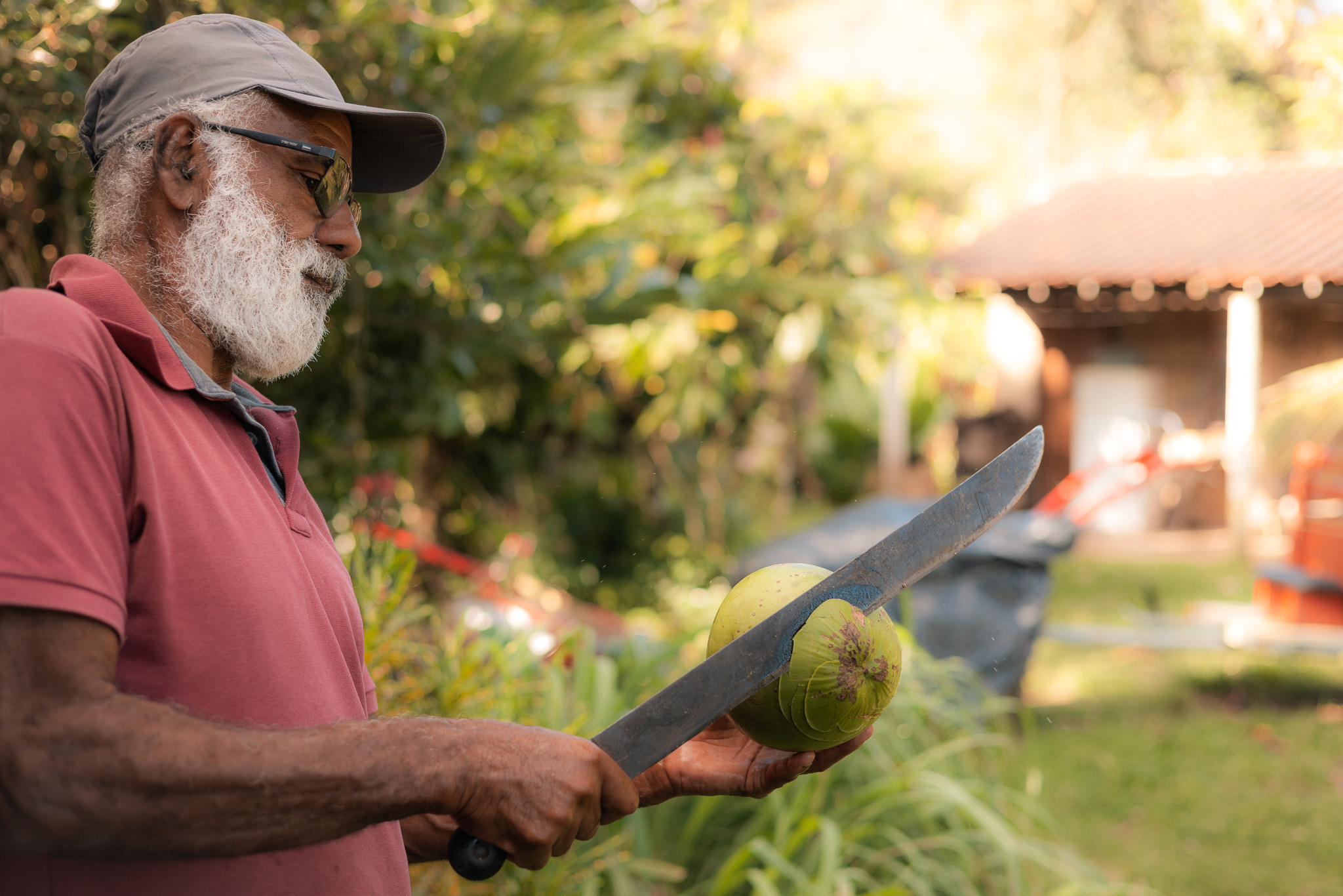 Mr Osvaldo Cocoa Farm Tour Bahia