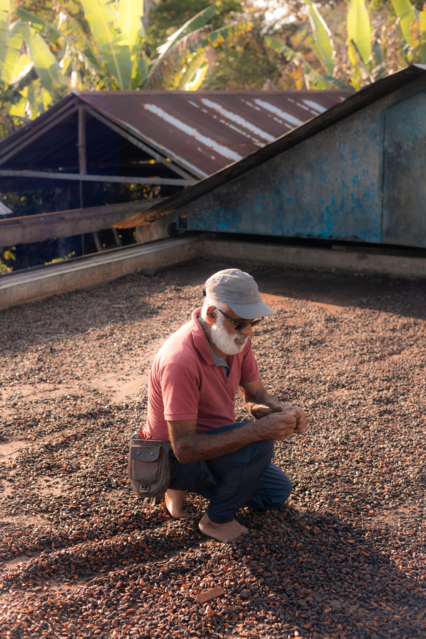 Mr Osvaldo Cocoa Farm