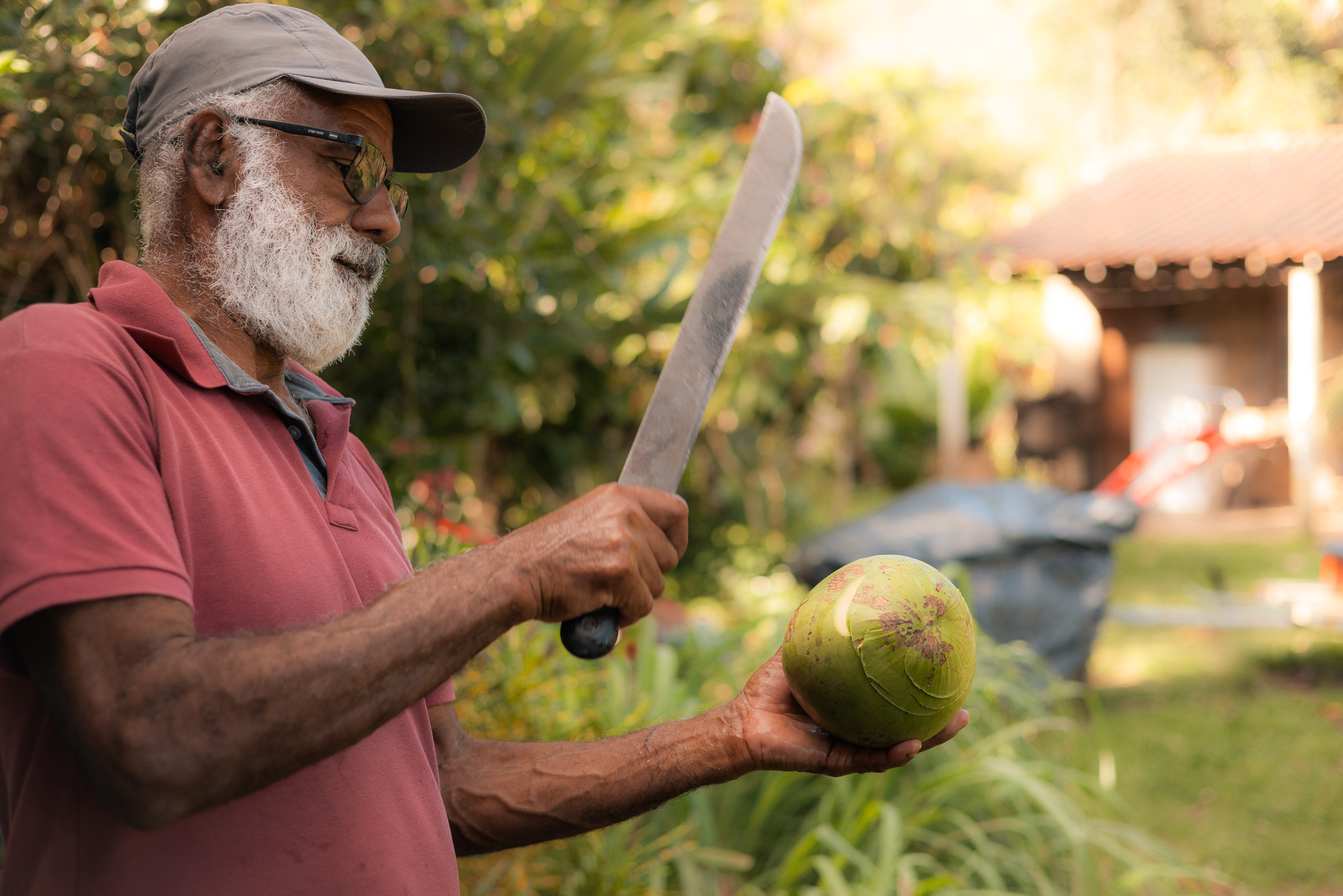 Slow Travel Cocoa Harvest Osvaldo Farm