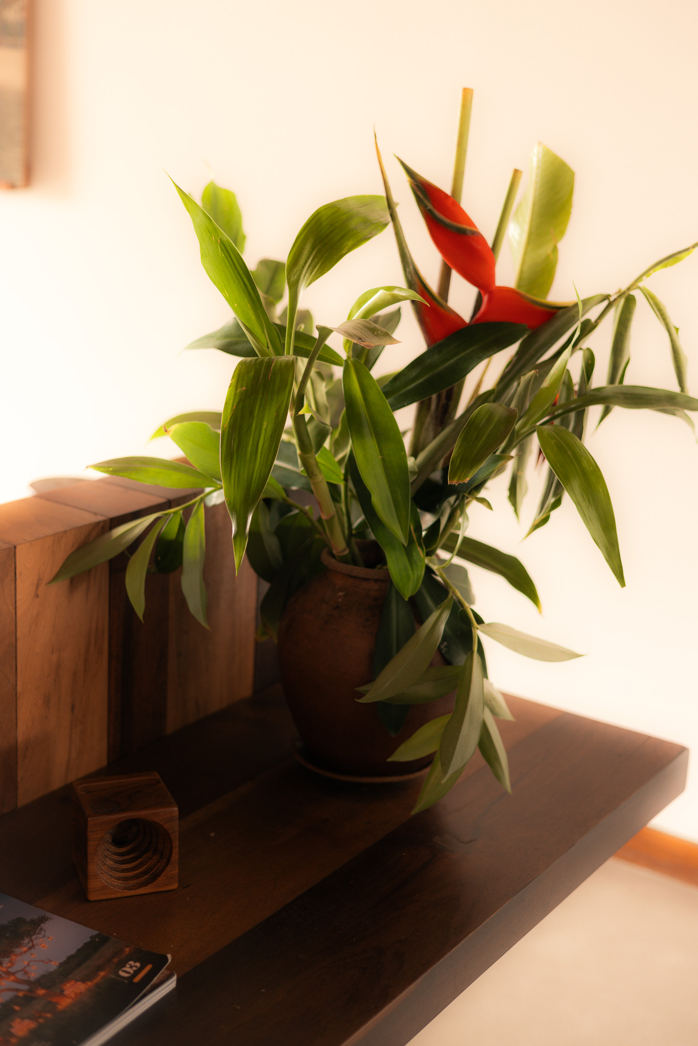 Tropical Flowers Hotel Room