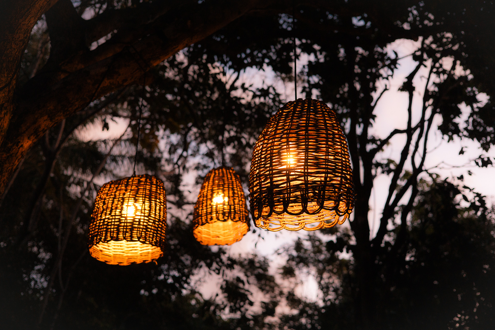 Tropical Rainforest Hotel Bahia Brazil