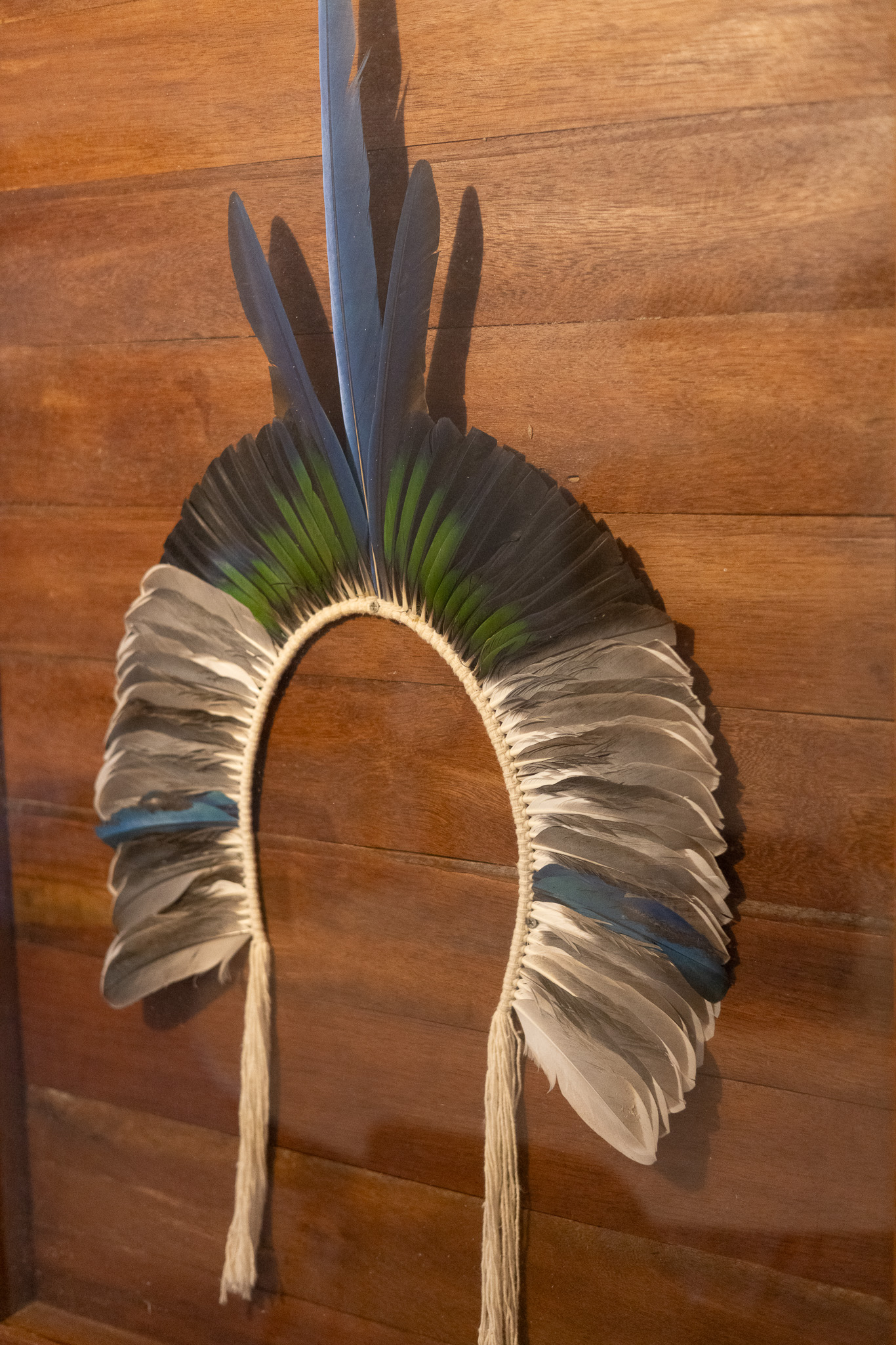 Brazil Indigenous Feathers