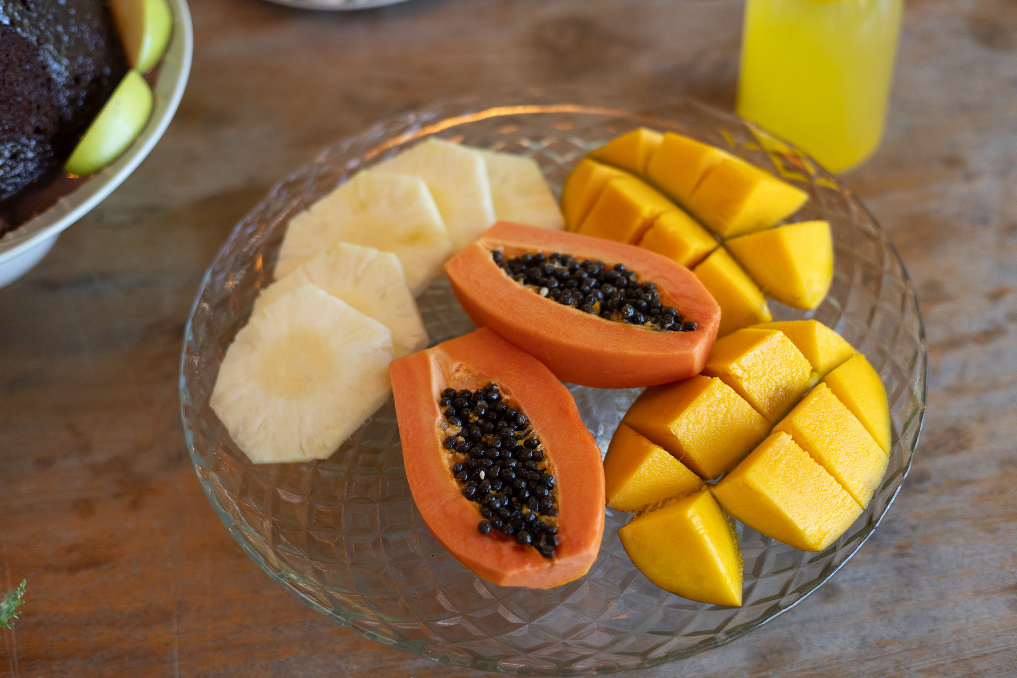 Digital Nomad Villa Brazil