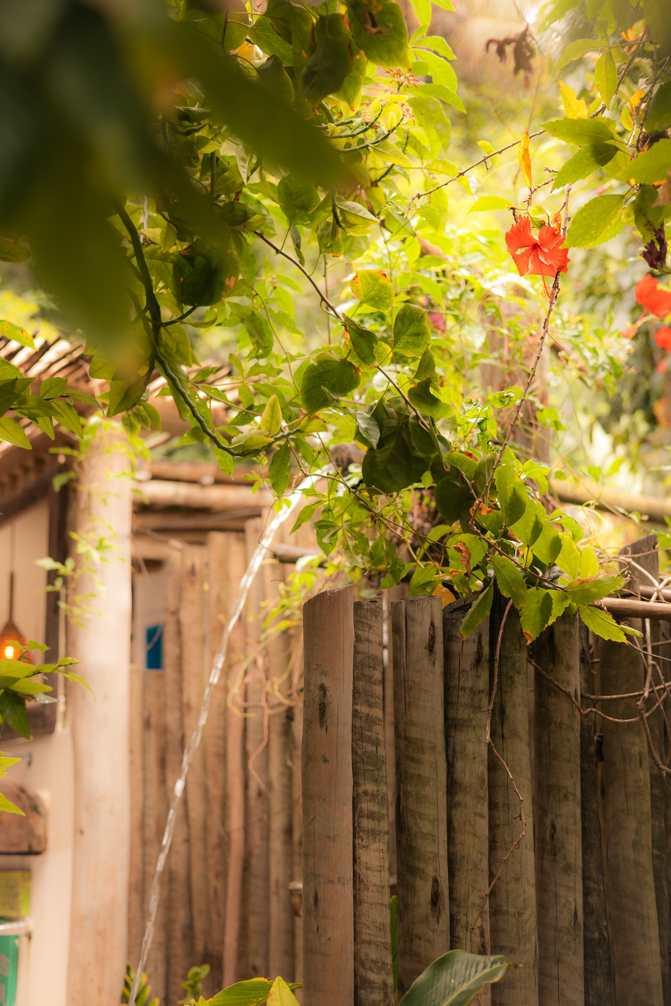 Outdoor Shower Bahia