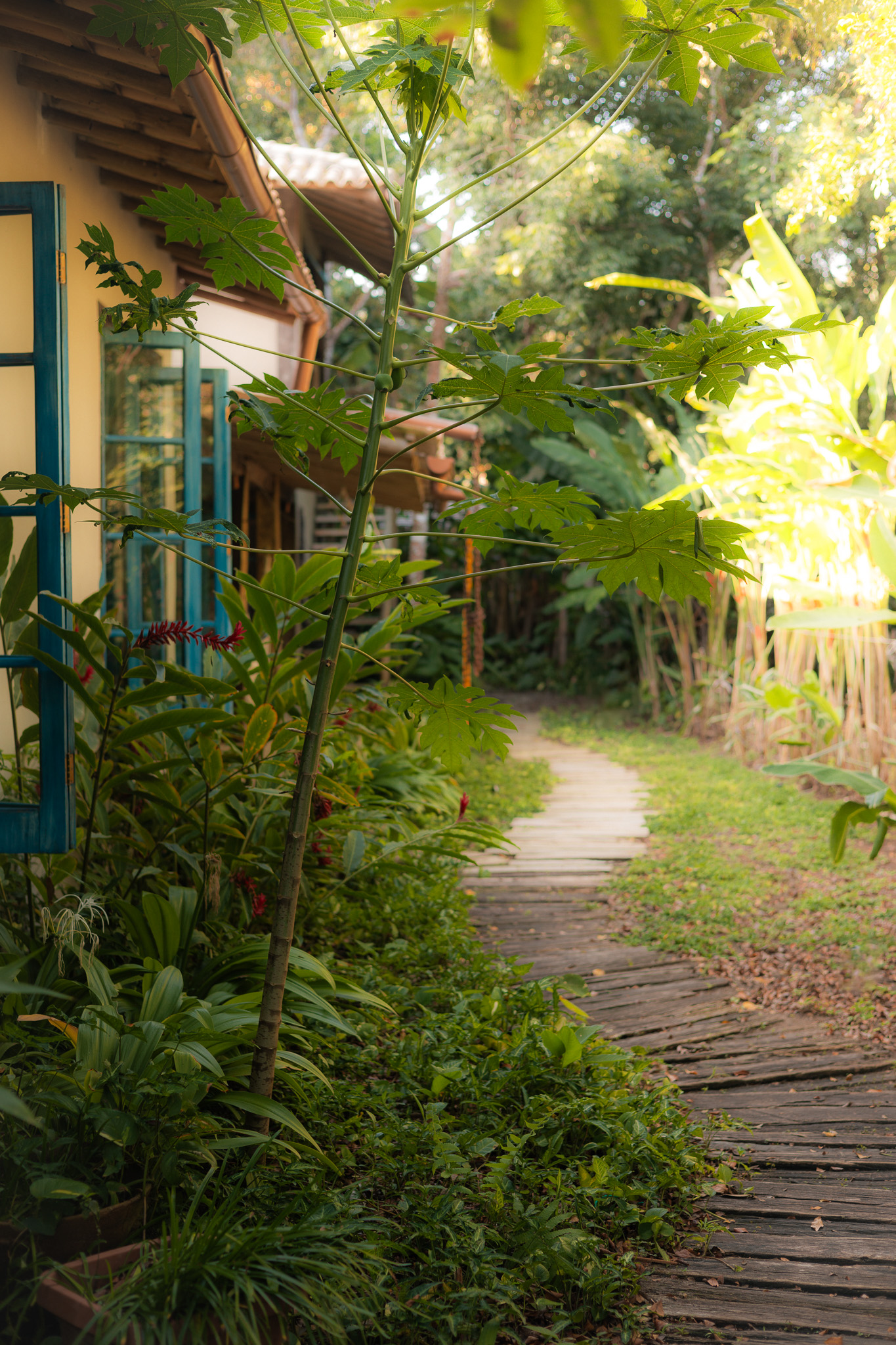 Trancoso Lush Landscape