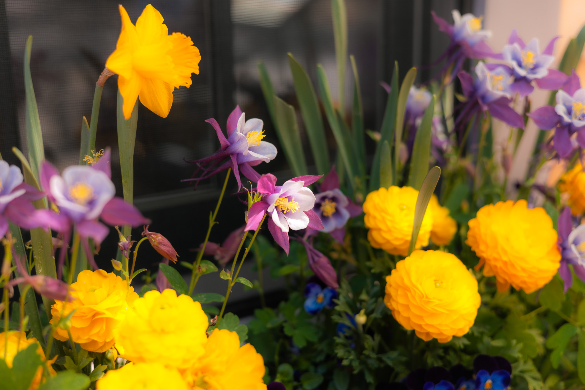 Floral design ack nantucket