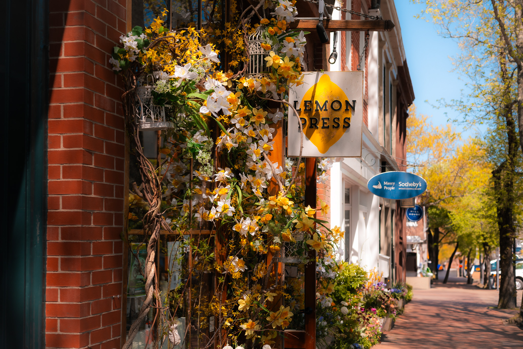 Lemon press daffodil festival nantucket
