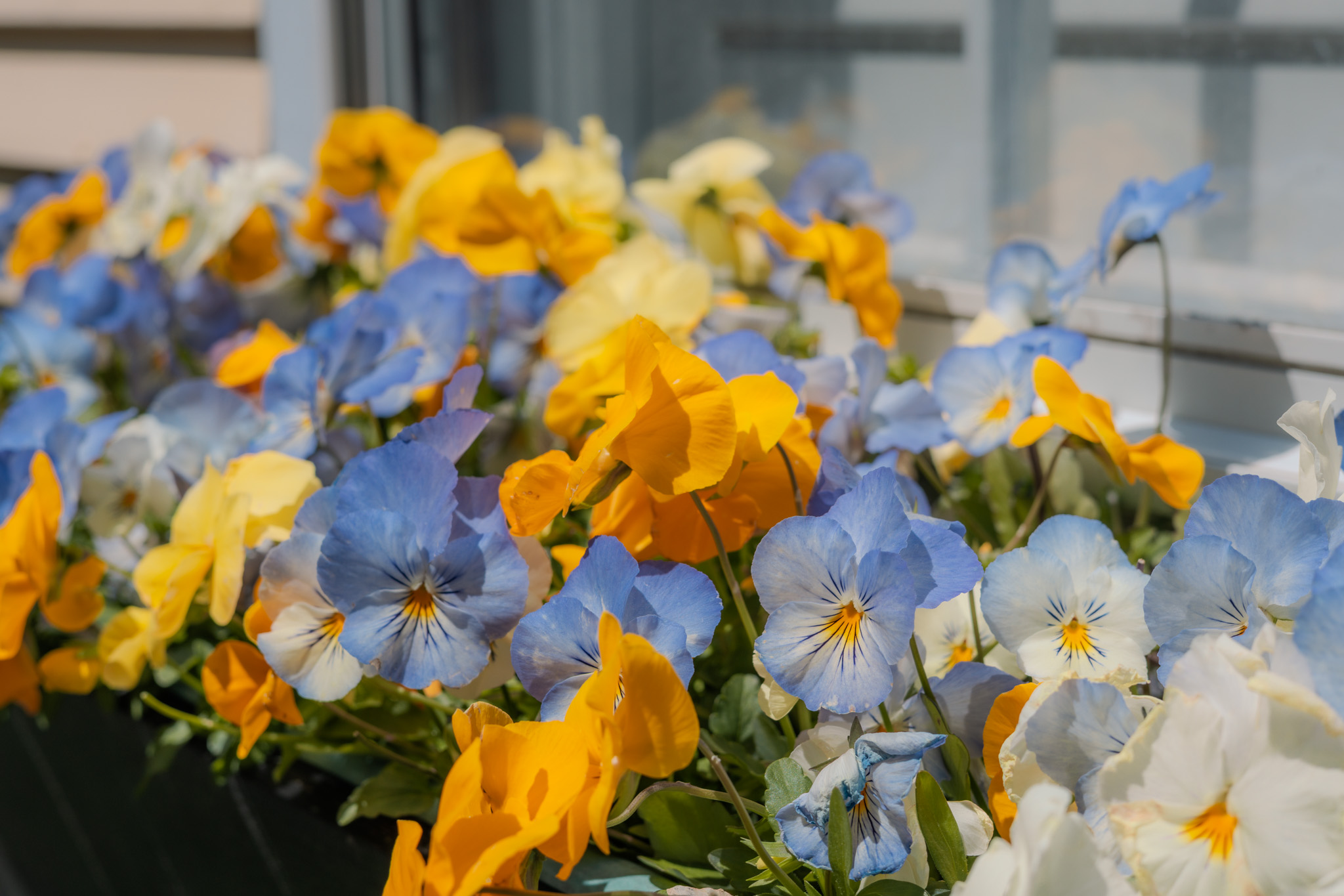 Nantucket spring itinerary