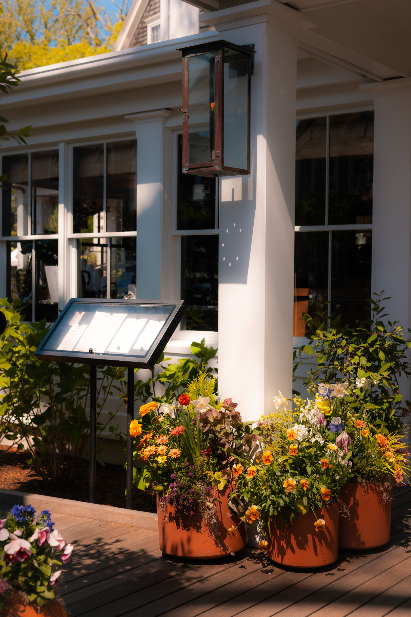 Spring flowers nantucket