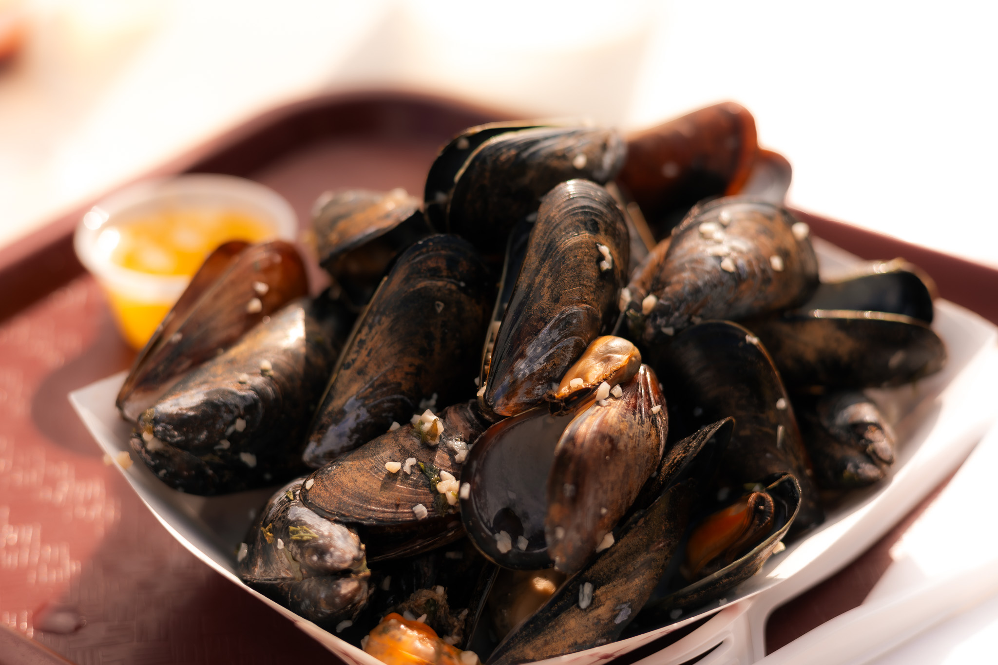Maine mussels