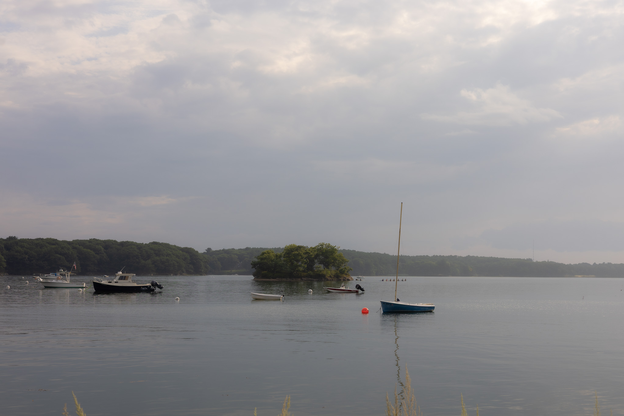 Morning sailboat maine