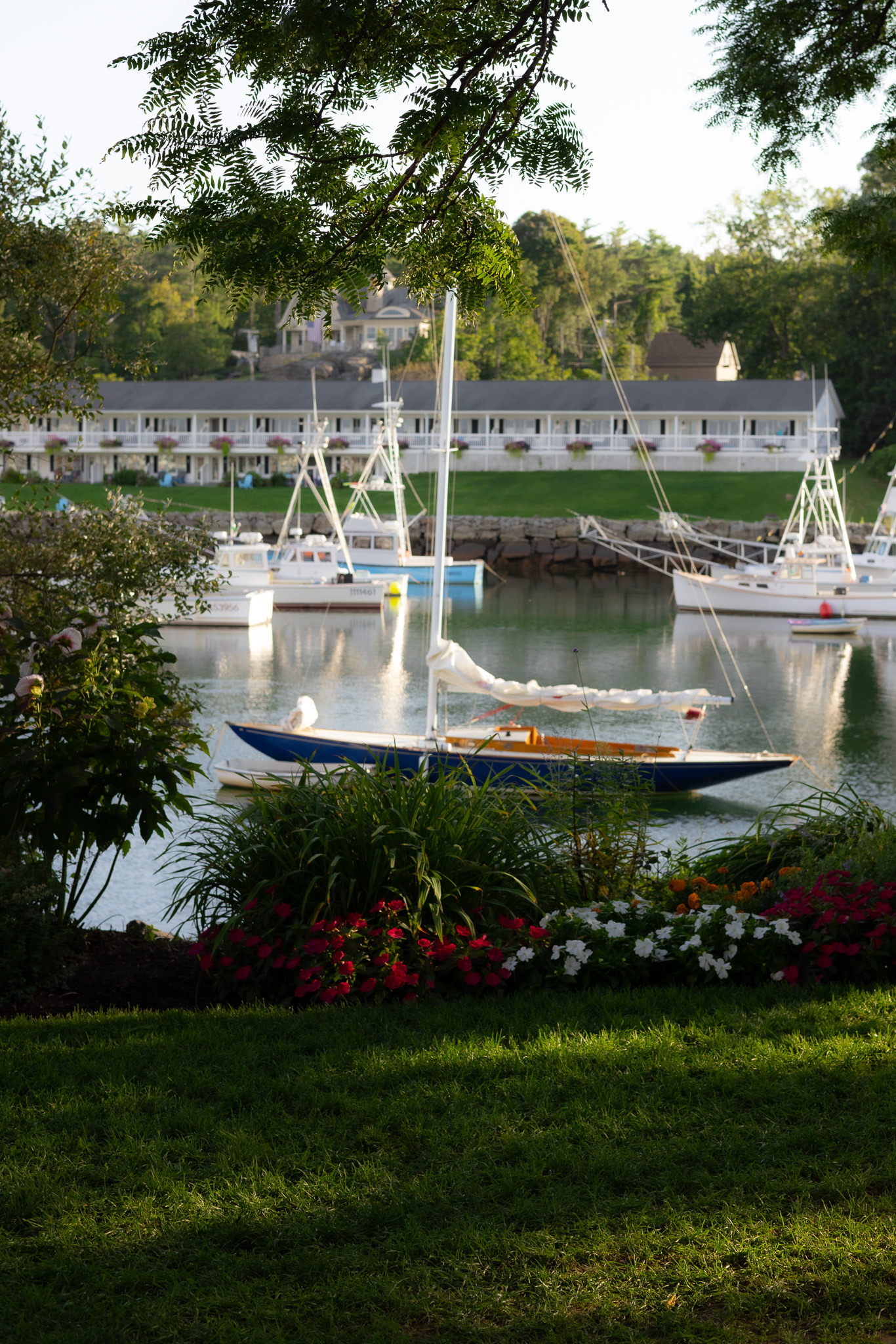 Ogunquit marina