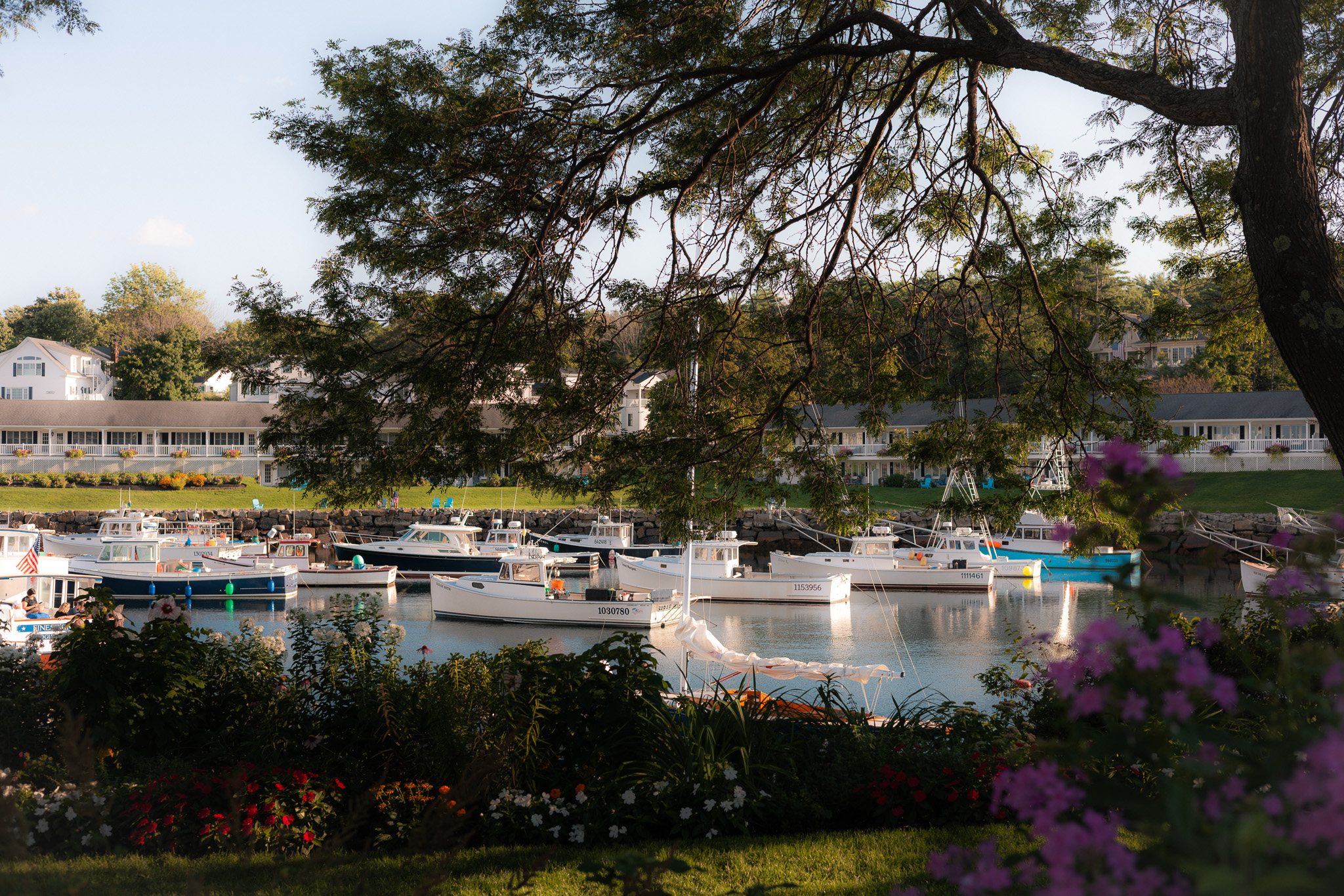 Ogunquit things to do summer